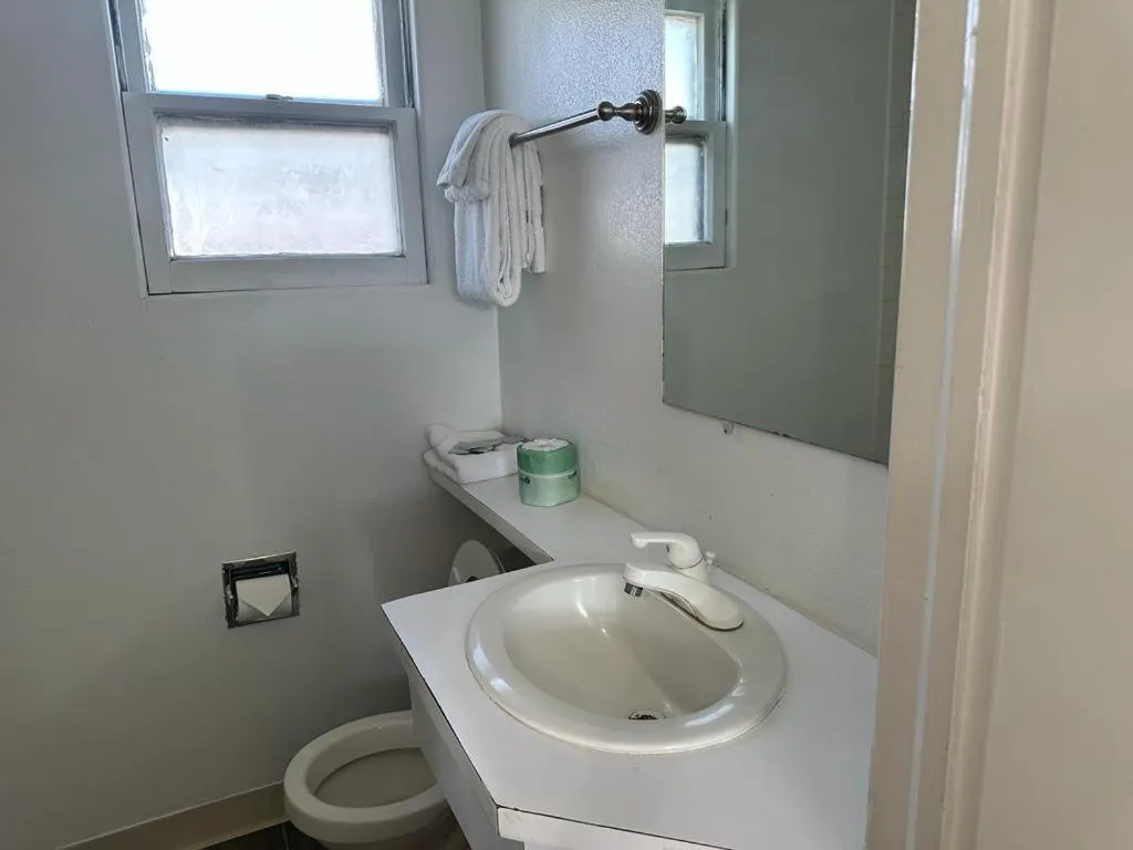 Toilet in Ski's Western Motel