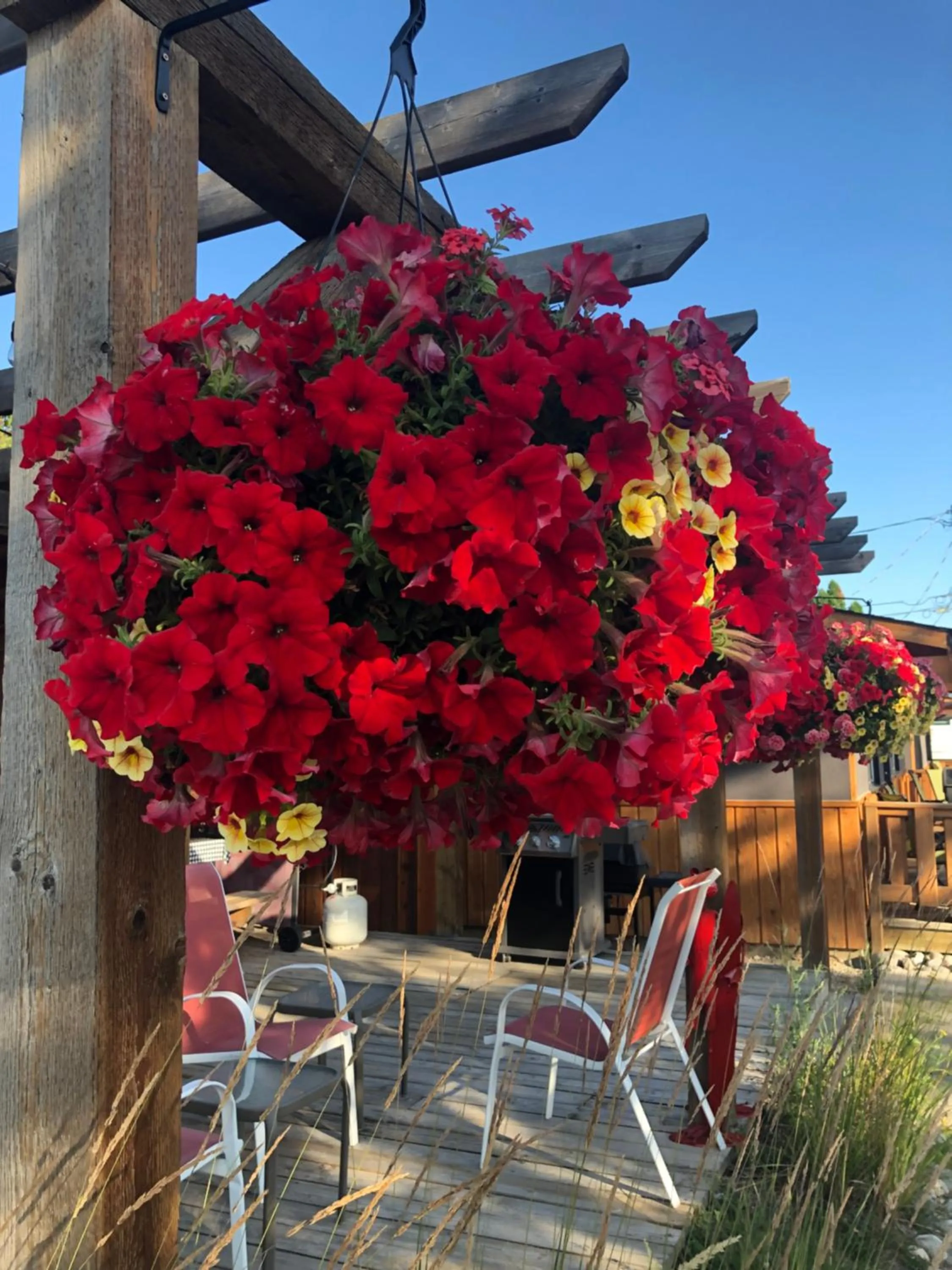 Patio in Piccadilly Motel