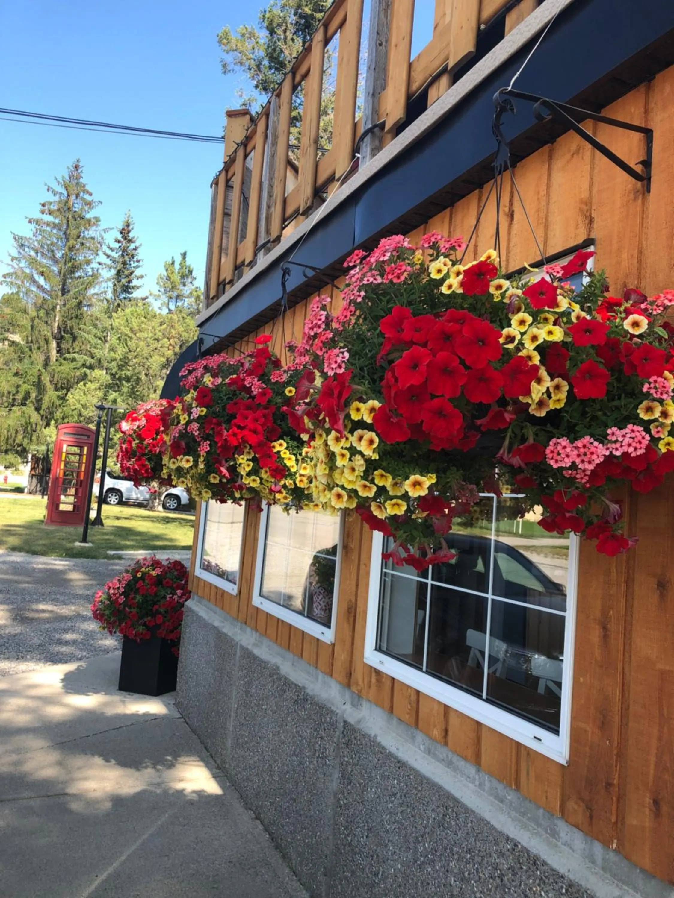 Facade/entrance in Piccadilly Motel