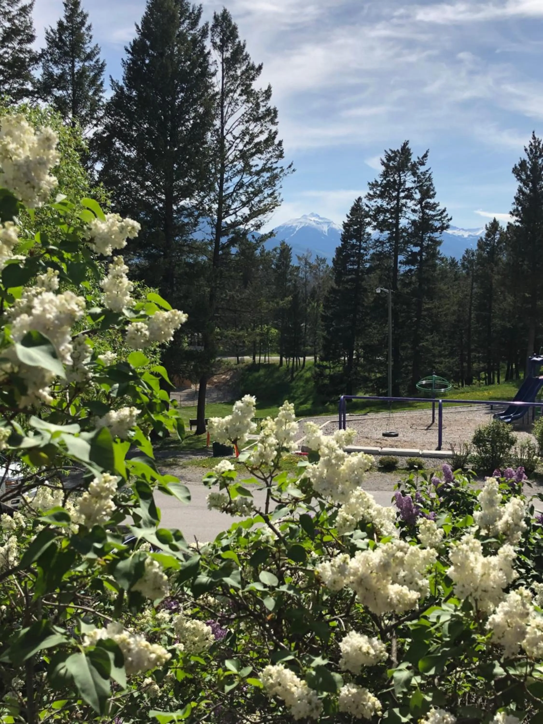 View (from property/room) in Piccadilly Motel