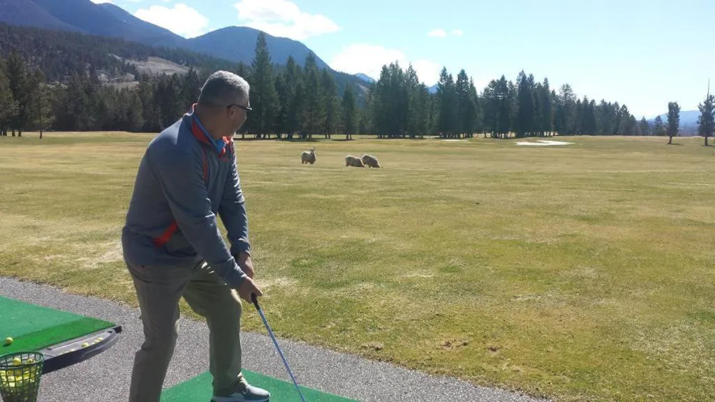 Golfcourse in Piccadilly Motel