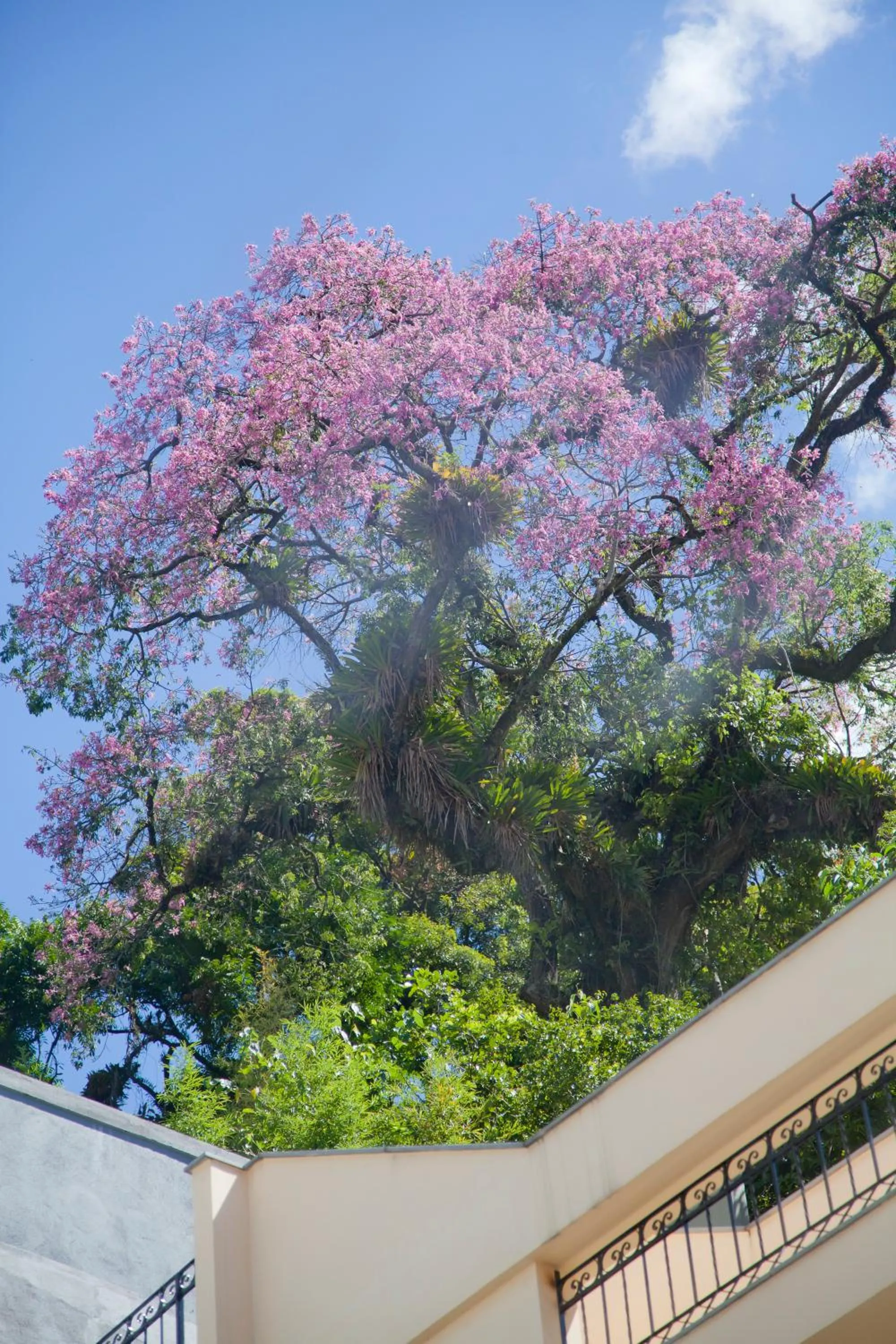 Fitness centre/facilities in Grande Hotel Petrópolis