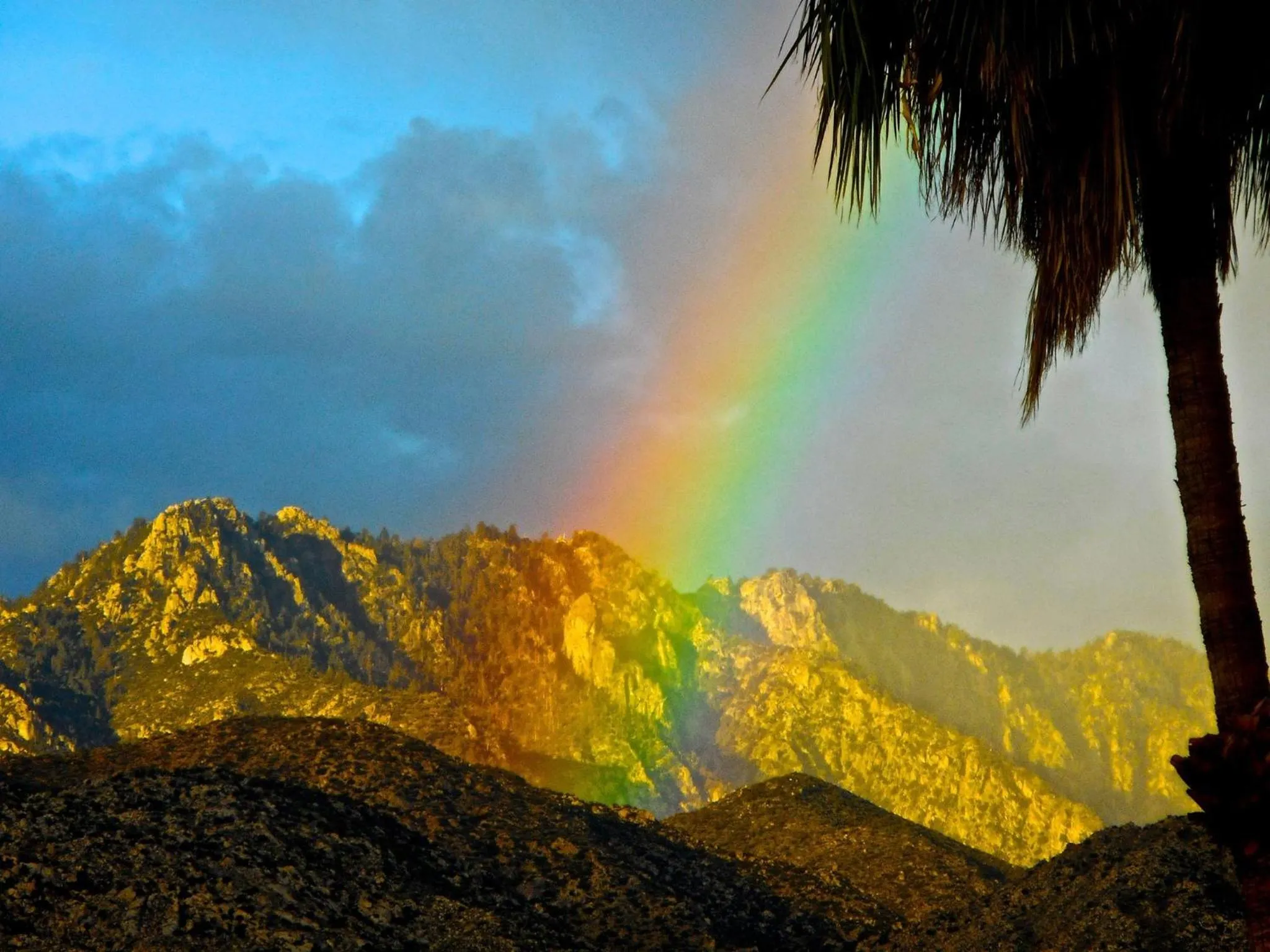 Neighbourhood in Sundance Villas by Private Villa Management