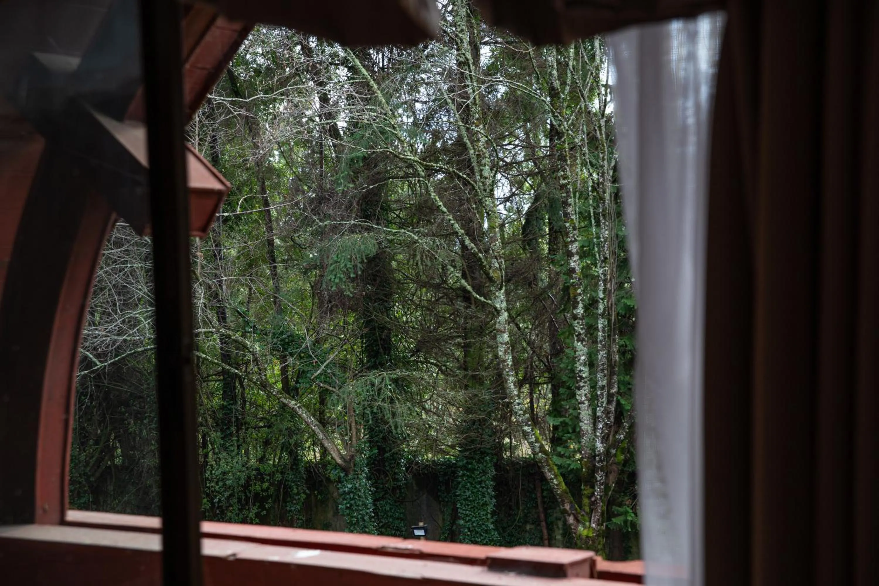 Garden view in Hotel Puerta del Sur