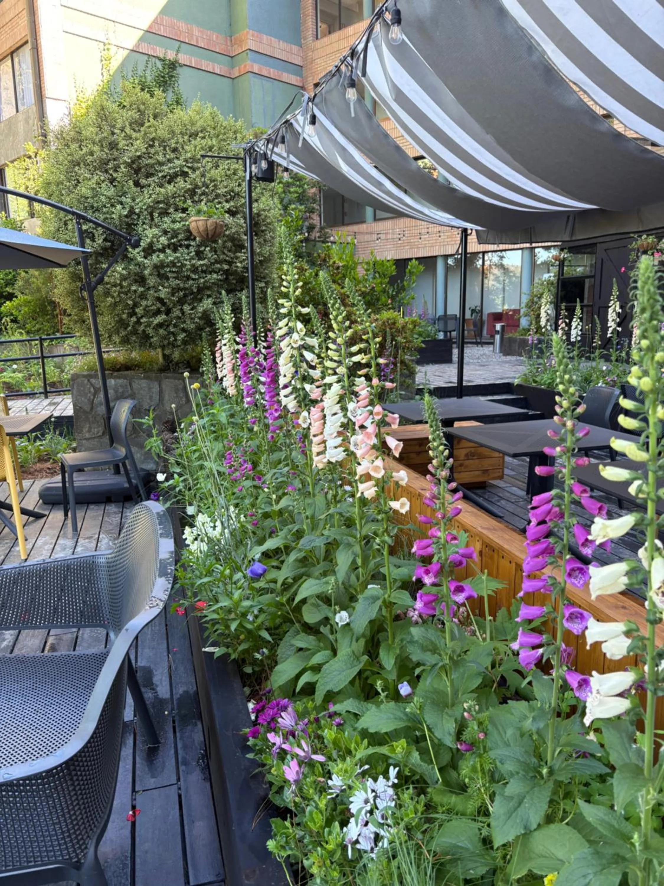 Balcony/Terrace in Hotel Puerta del Sur