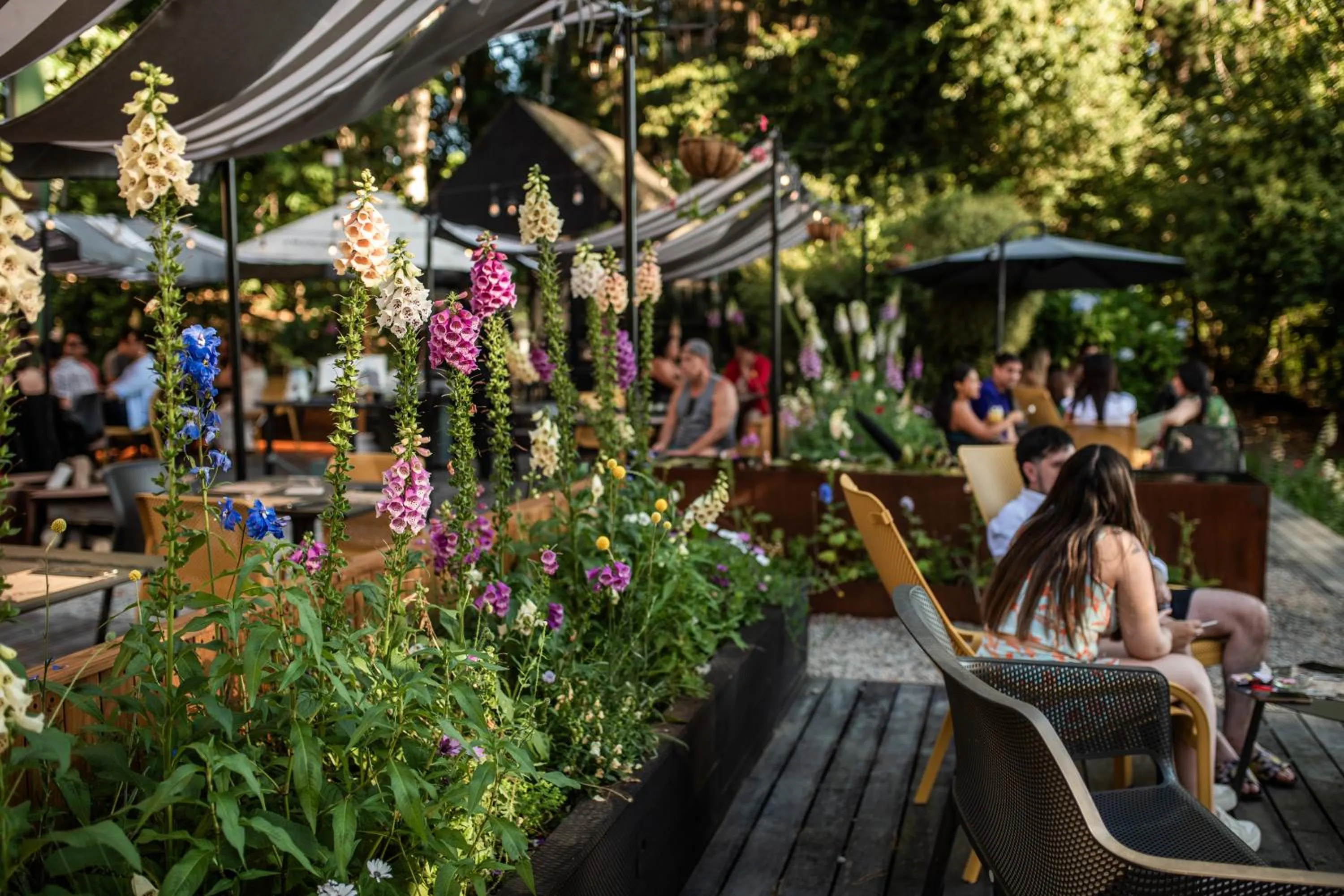 Restaurant/places to eat in Hotel Puerta del Sur