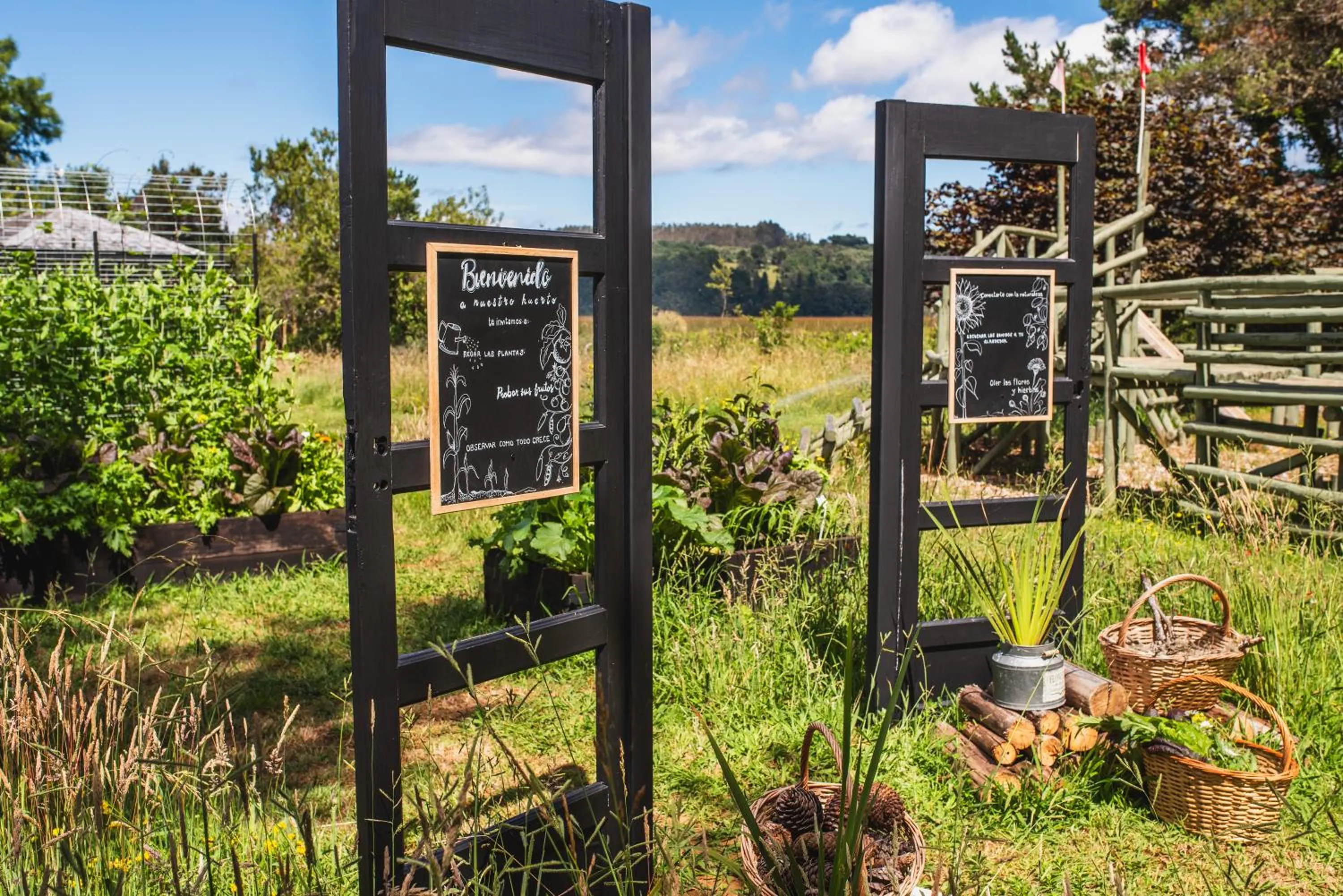 Patio in Hotel Puerta del Sur