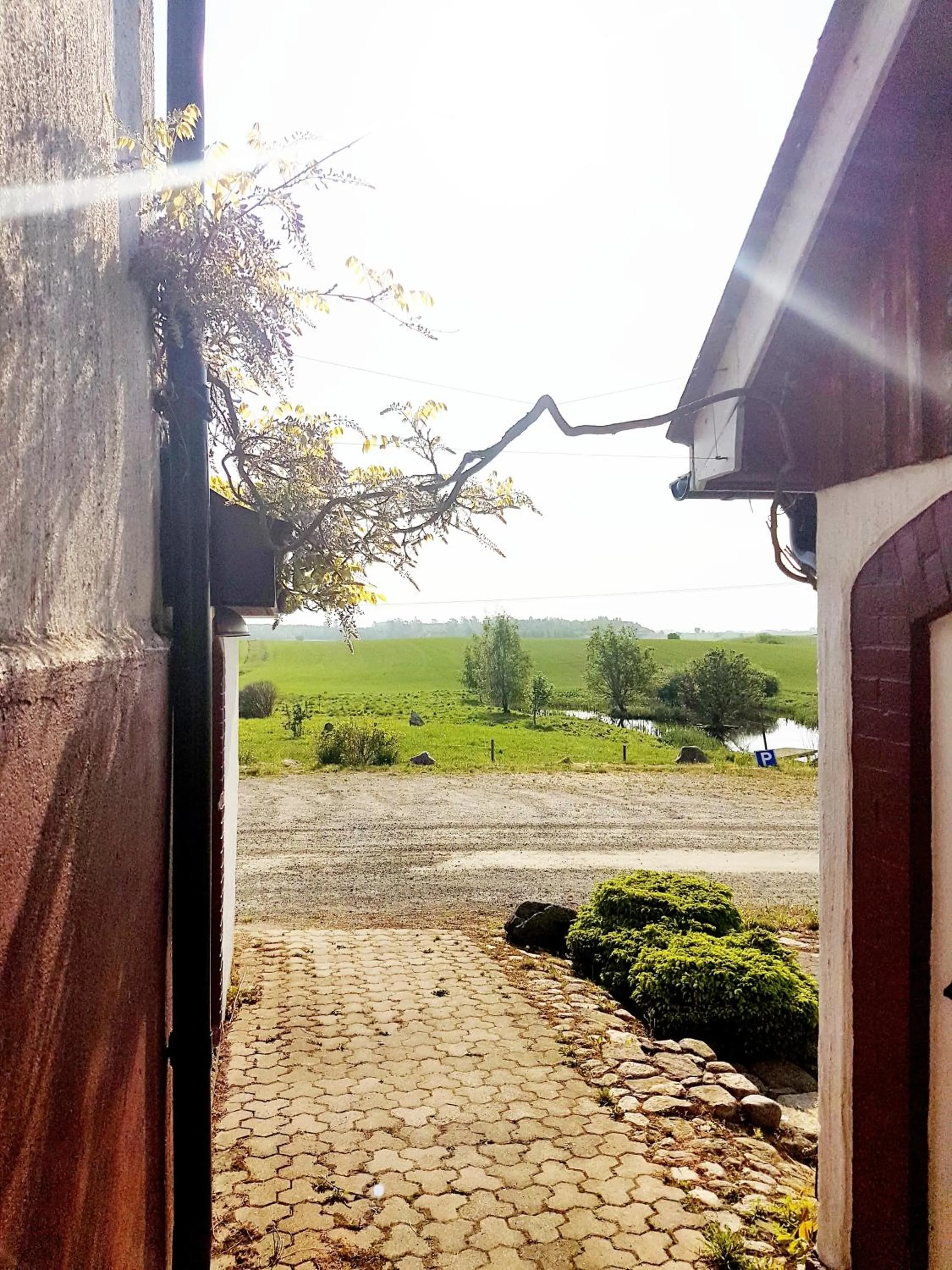 Garden in Gårdshotellet