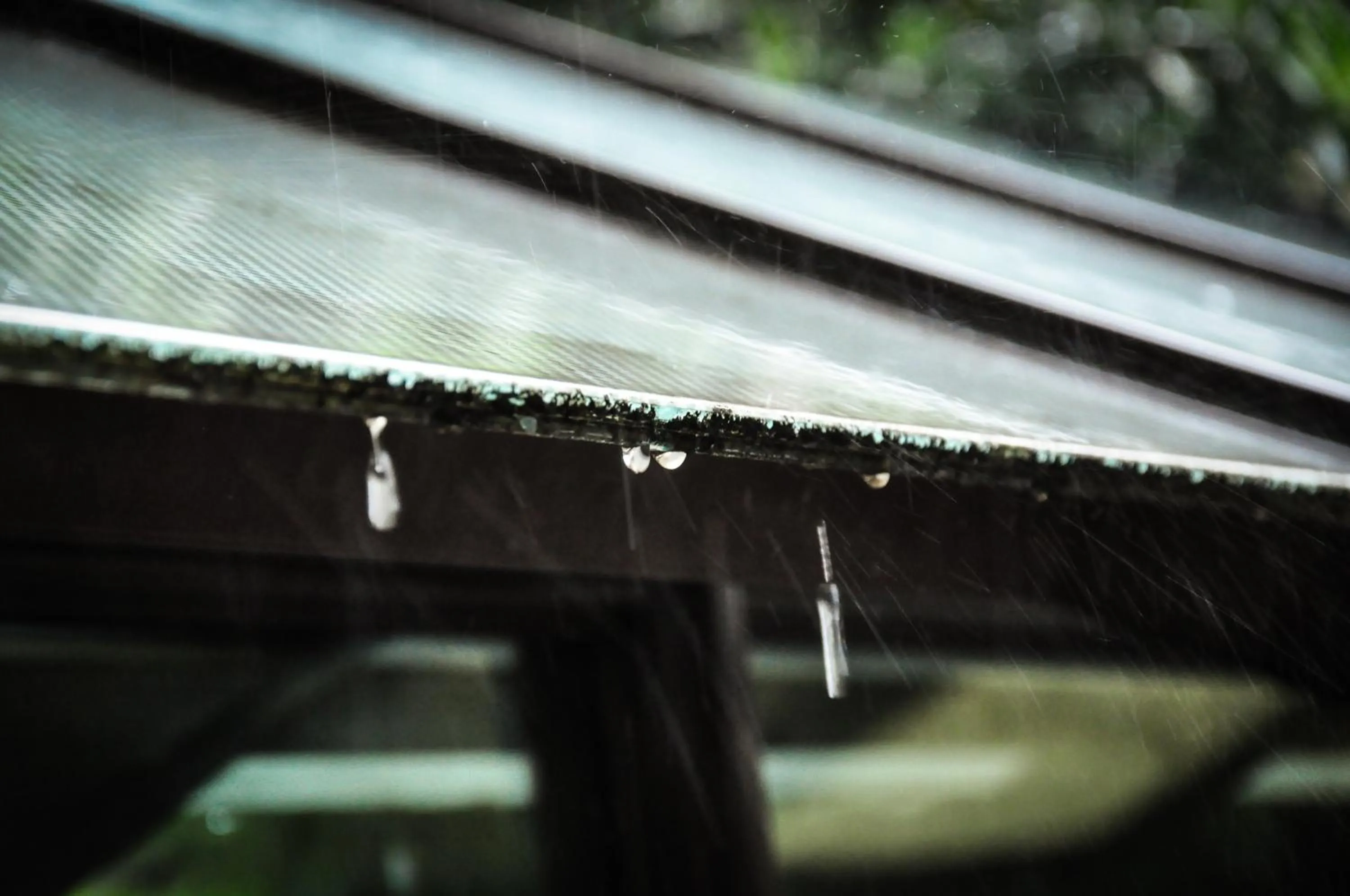 Garden in Jingan Classic Inn