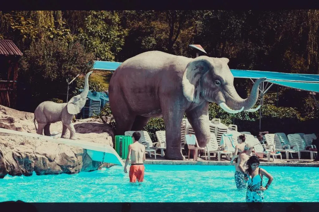 Swimming pool in Aquapark Hotel & Villas
