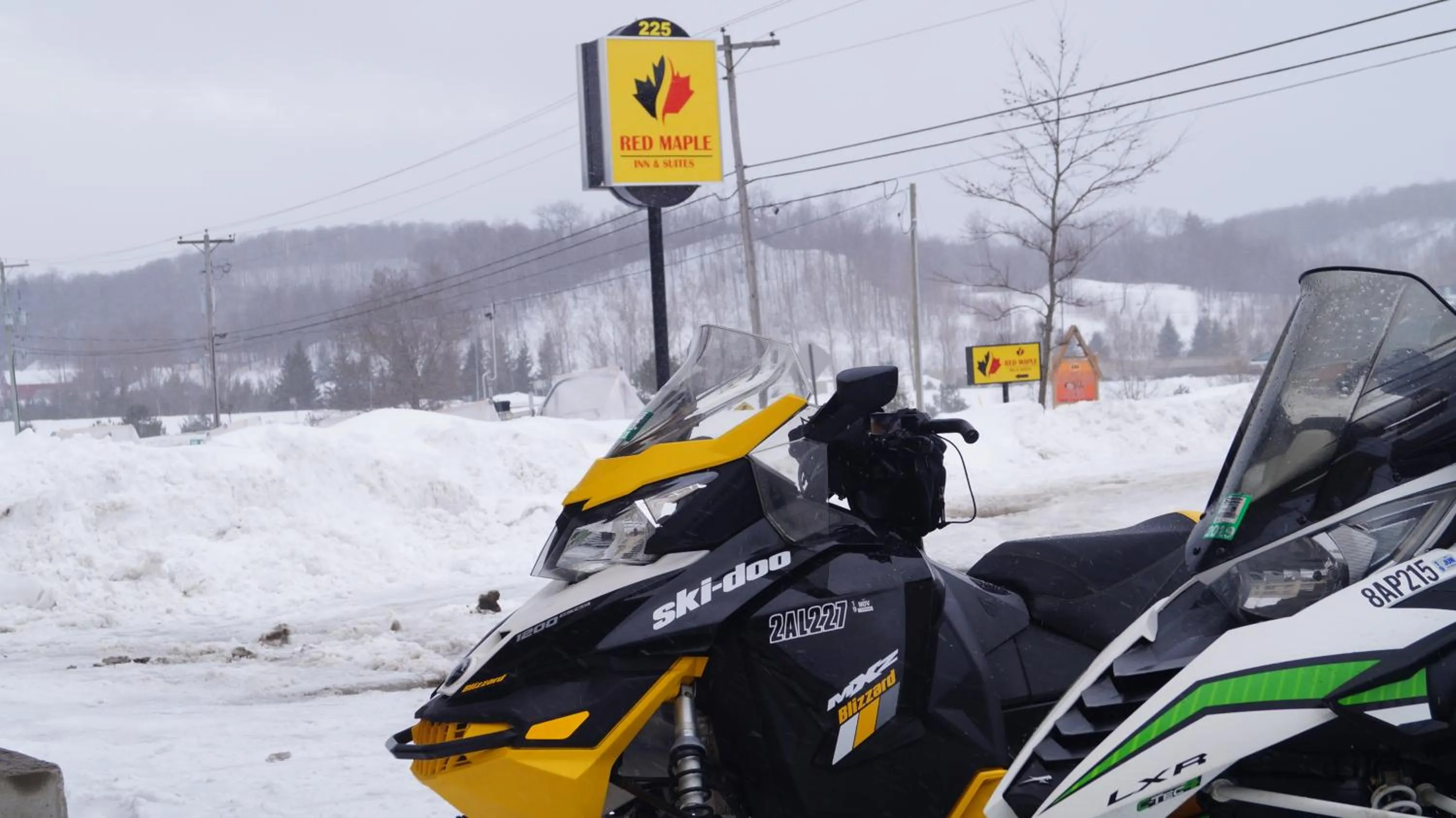 Entertainment in red maple inn and suites