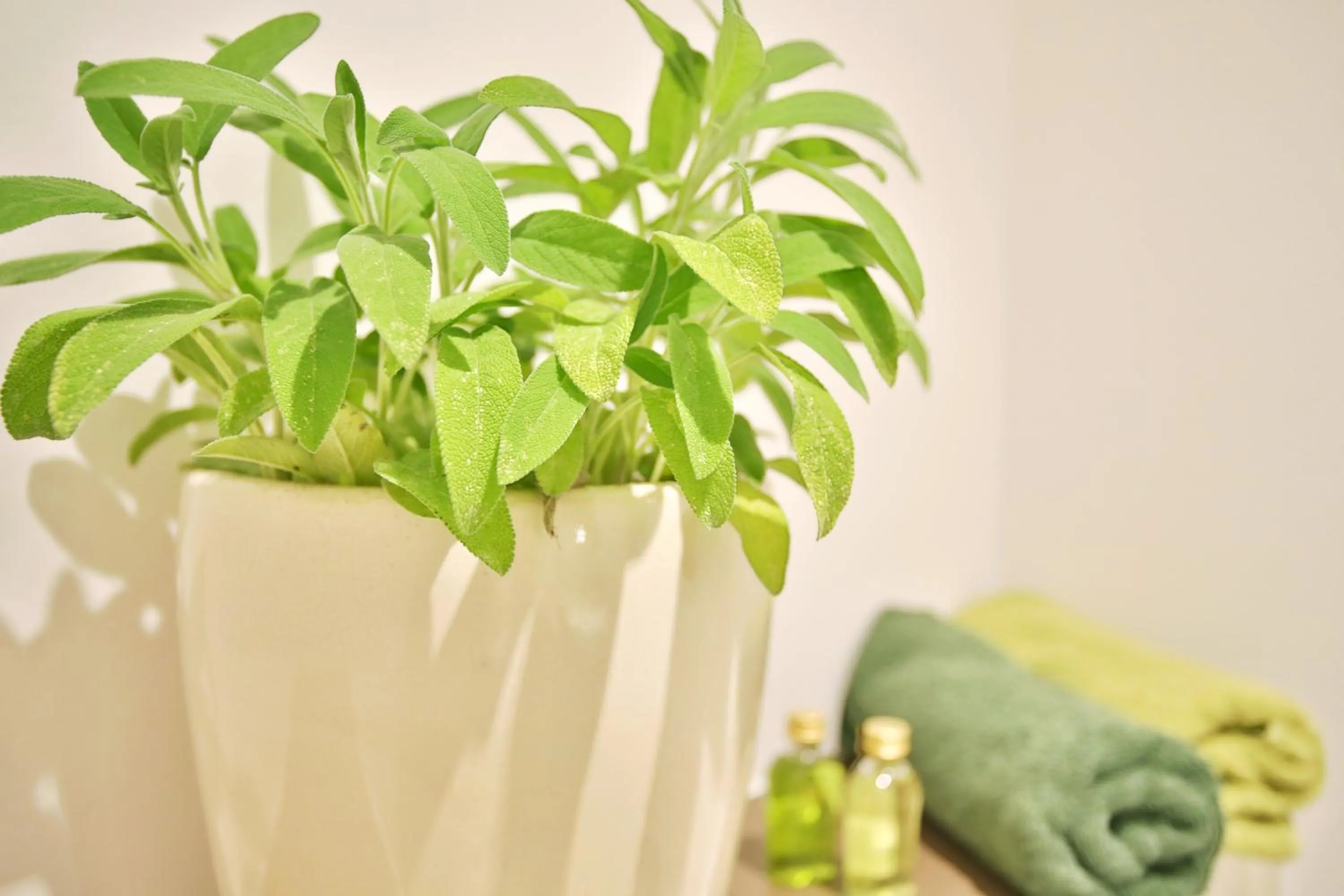 Decorative detail in Bergers-Landgasthof