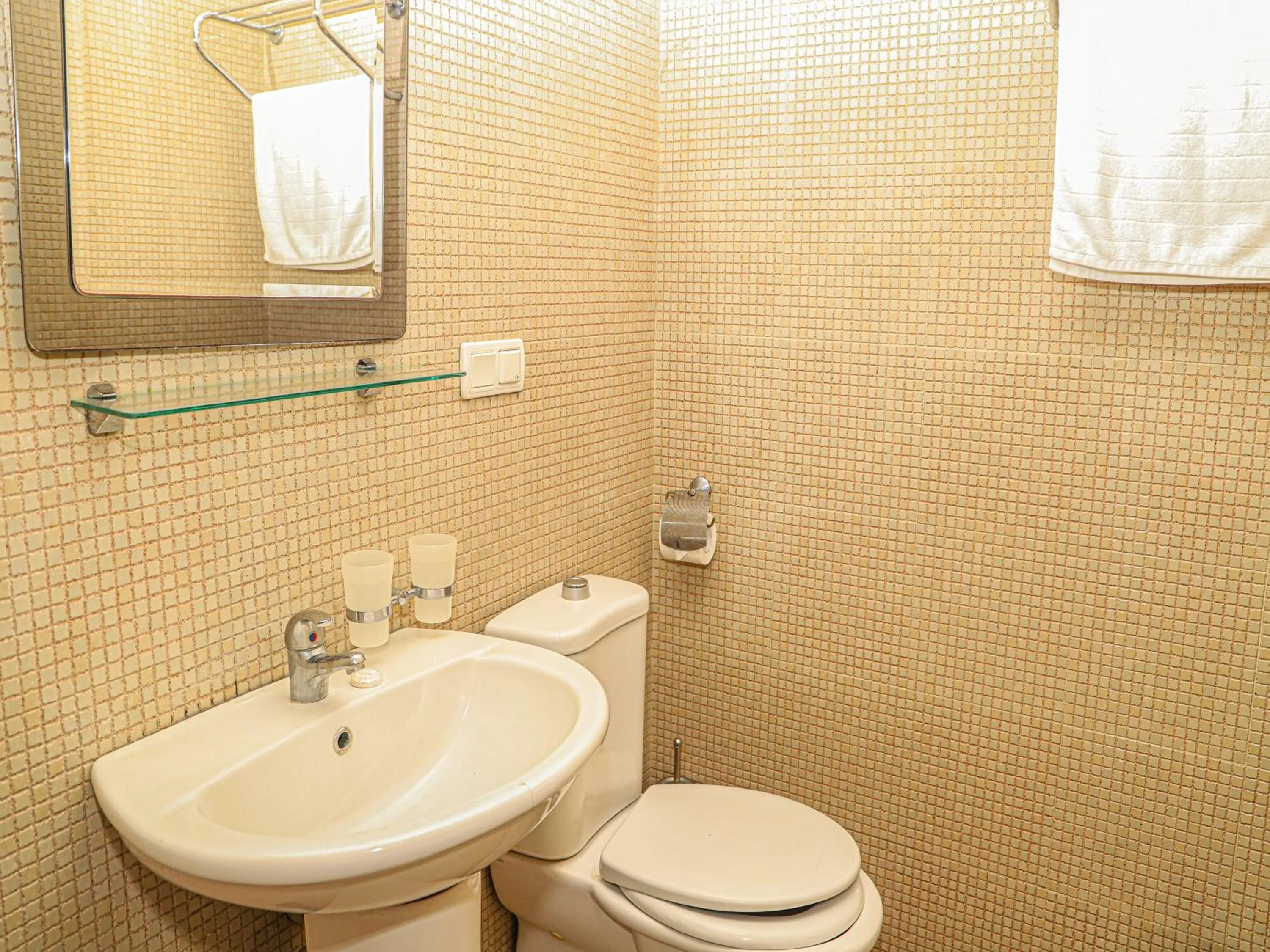 Bathroom in Armenian Village Park Hotel & FREE Water Park, GYM