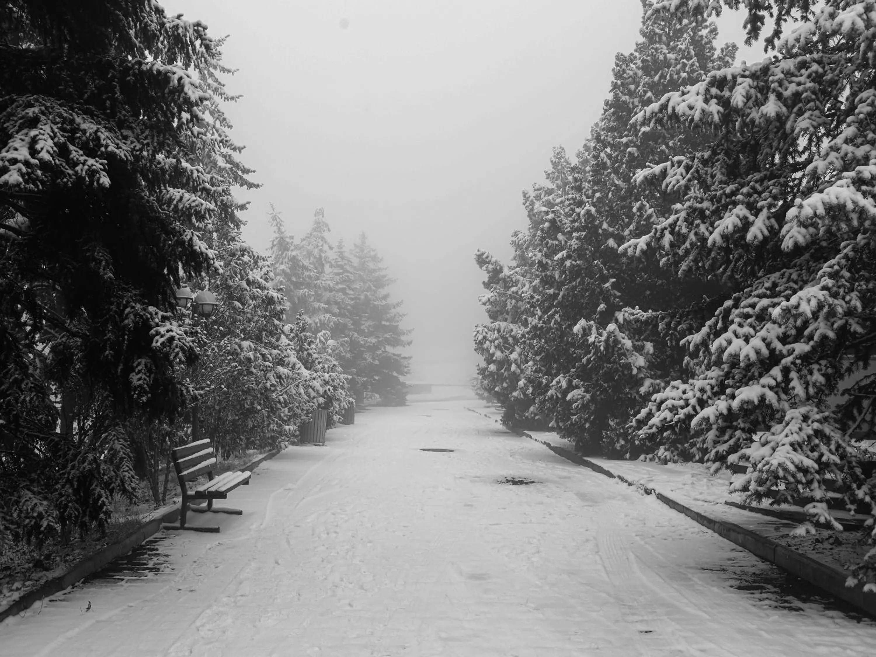 Armenian Village Park Hotel & FREE Water Park, GYM