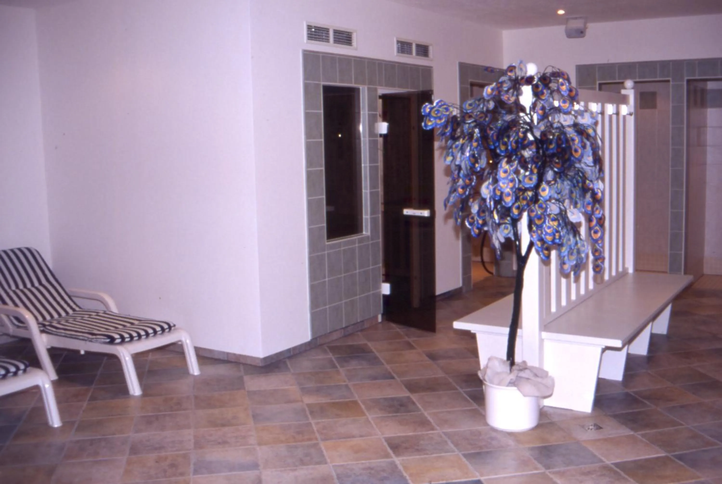 Spa and wellness centre/facilities in Hotel Edelweiss