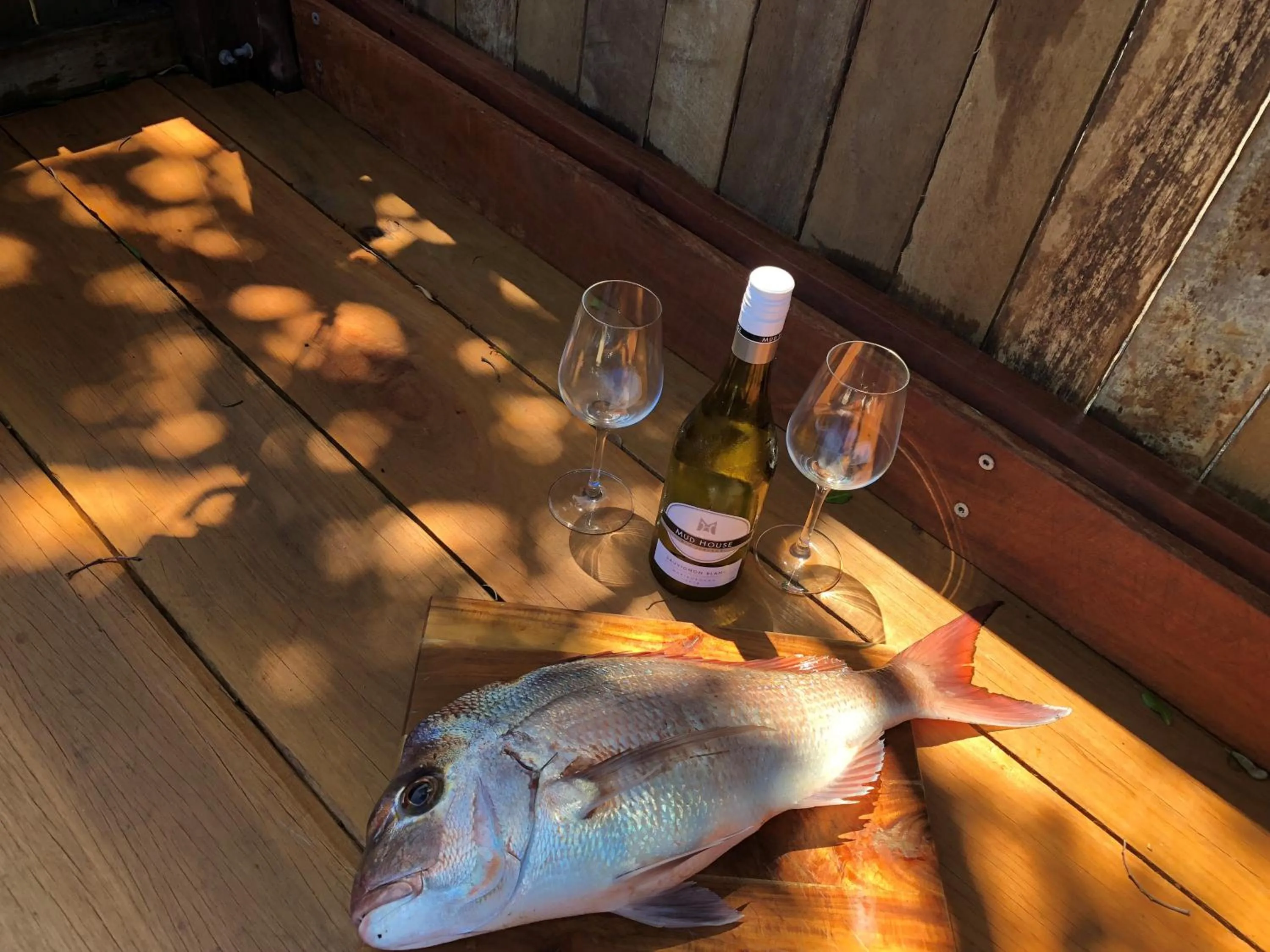 Inner courtyard view in Blue River Apartments