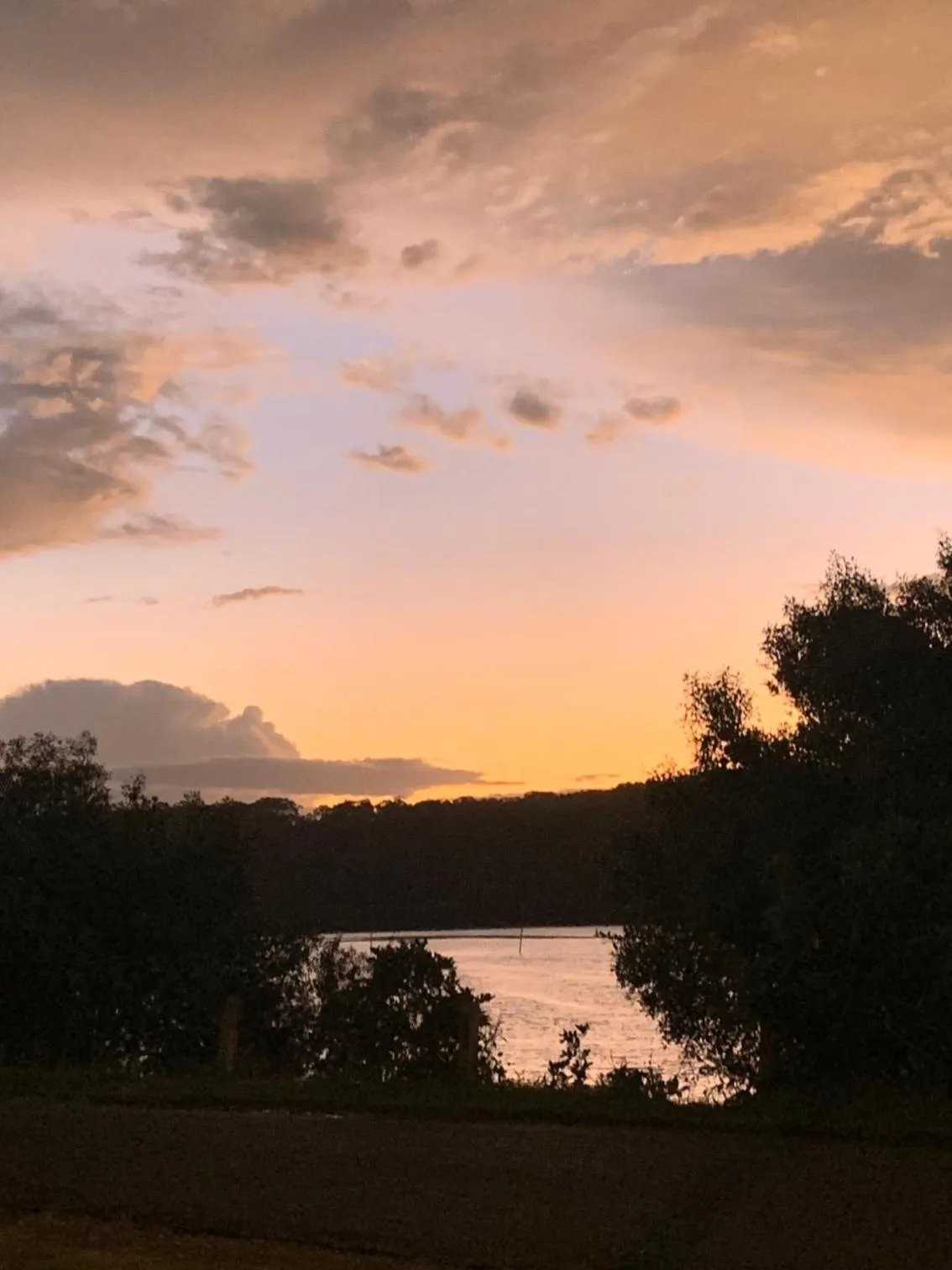 Natural landscape in Blue River Apartments