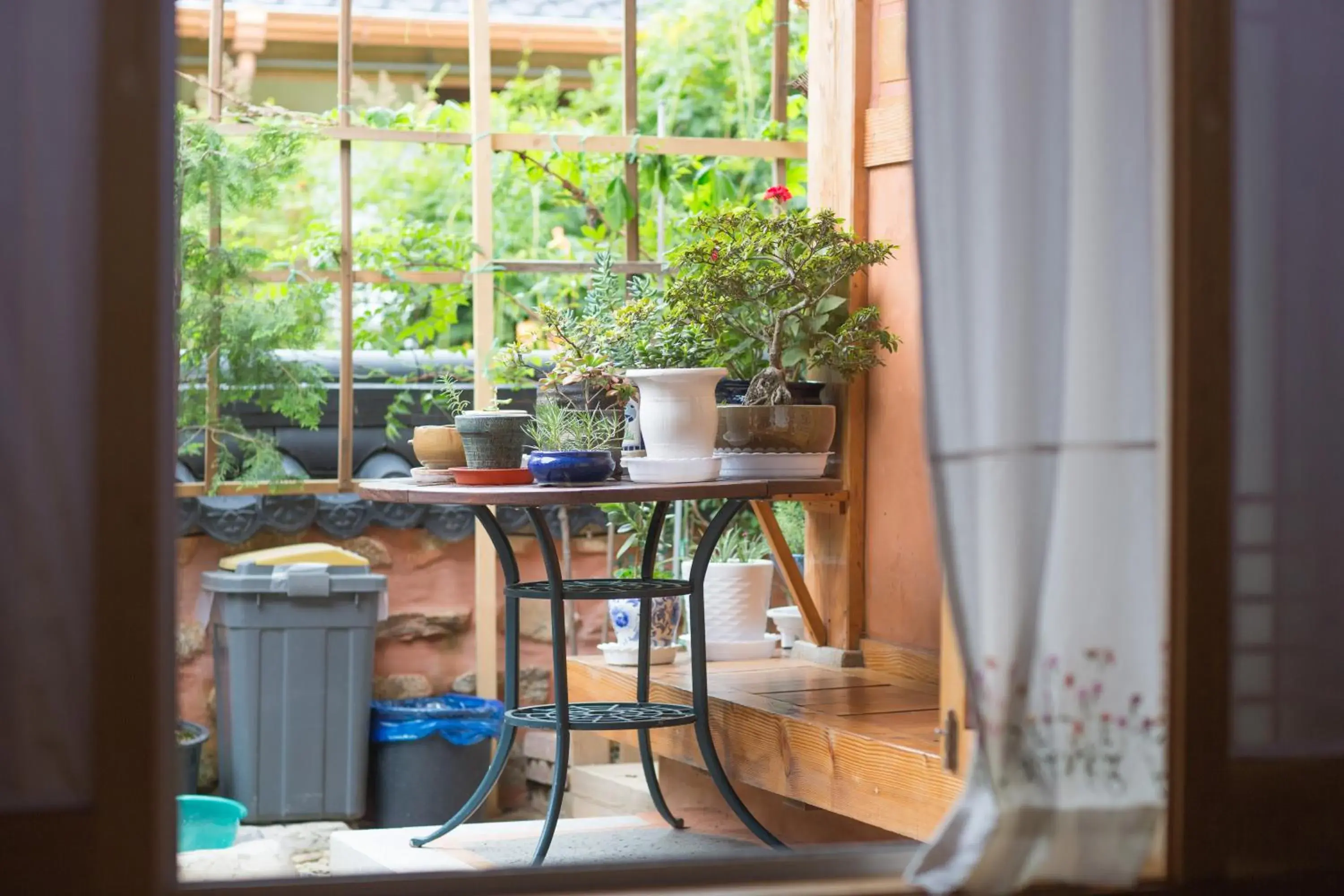 Double Room with Garden View in Starlight Rest Area Double Room with Garden View in Starlight Rest Area