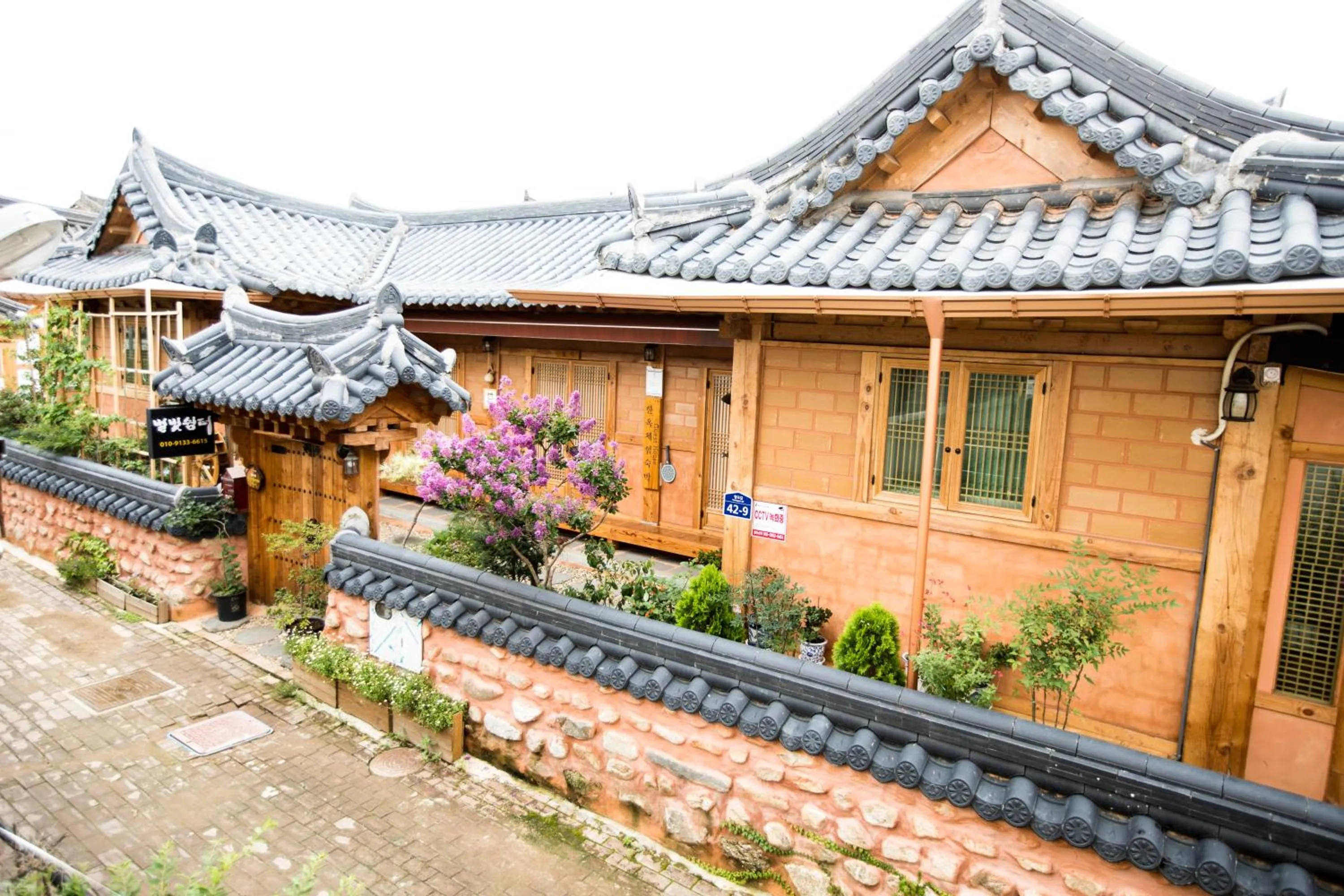 Breakfast in Starlight Rest Area