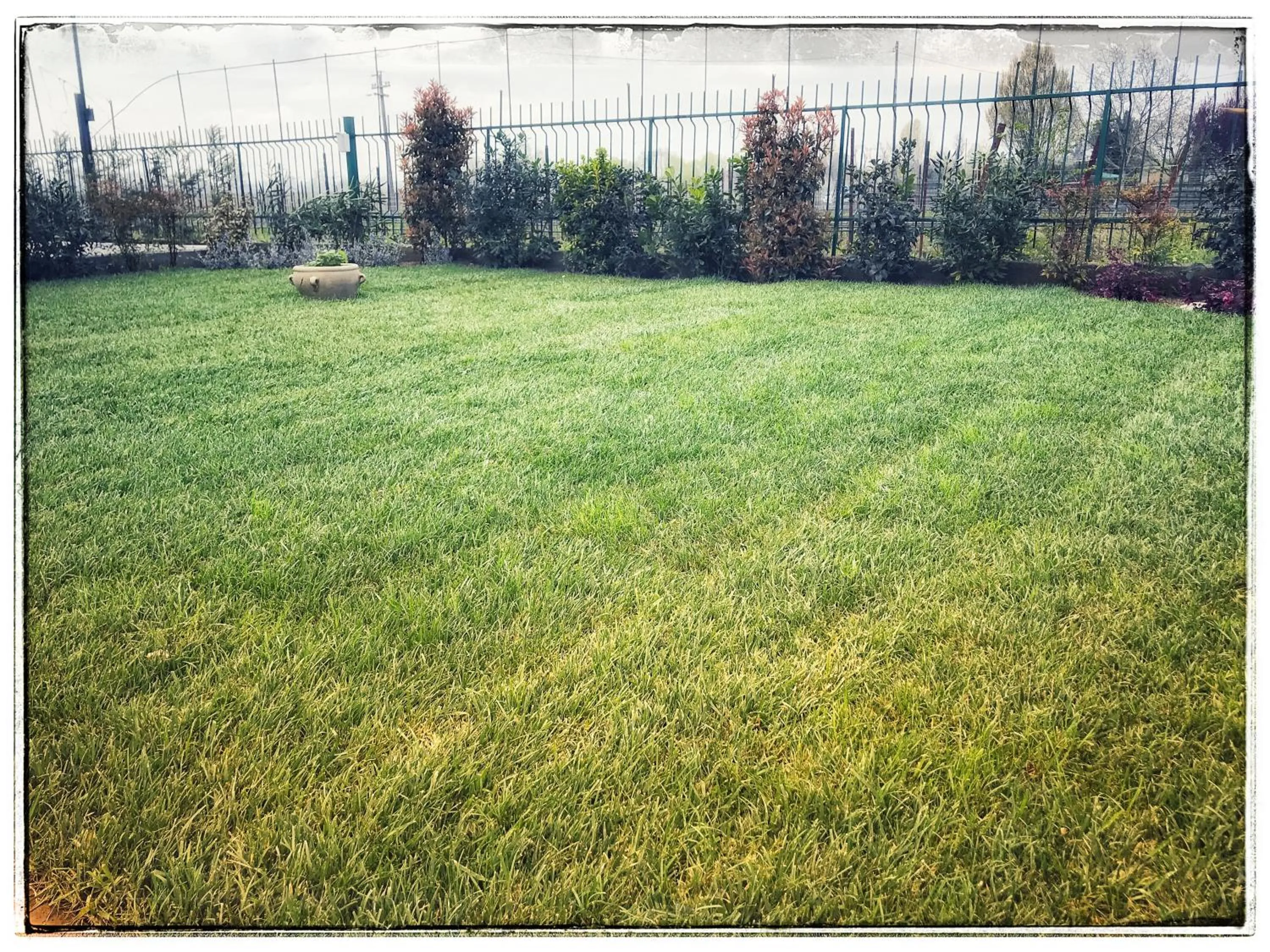 Garden in Incanto di Luna Hotel
