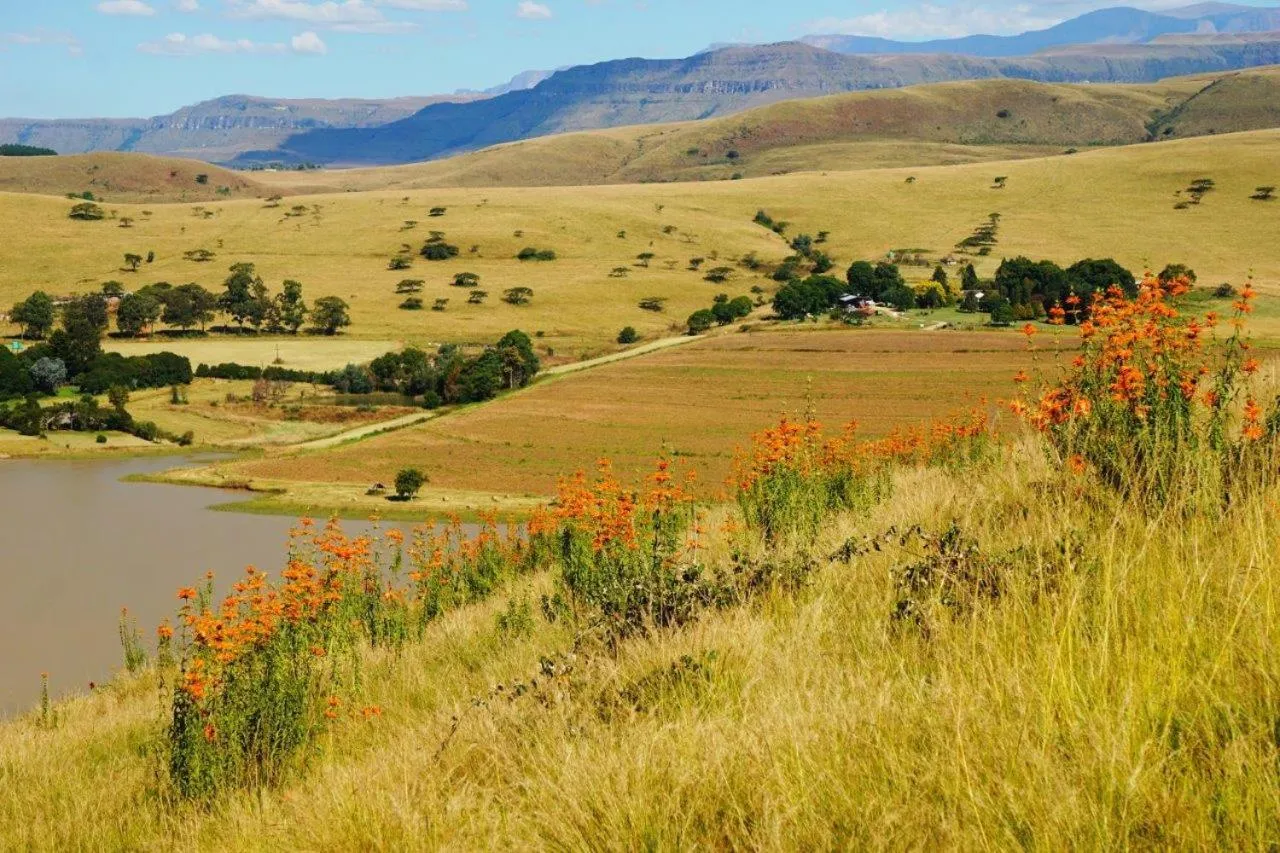 Landmark view in Bell Park Self Catering