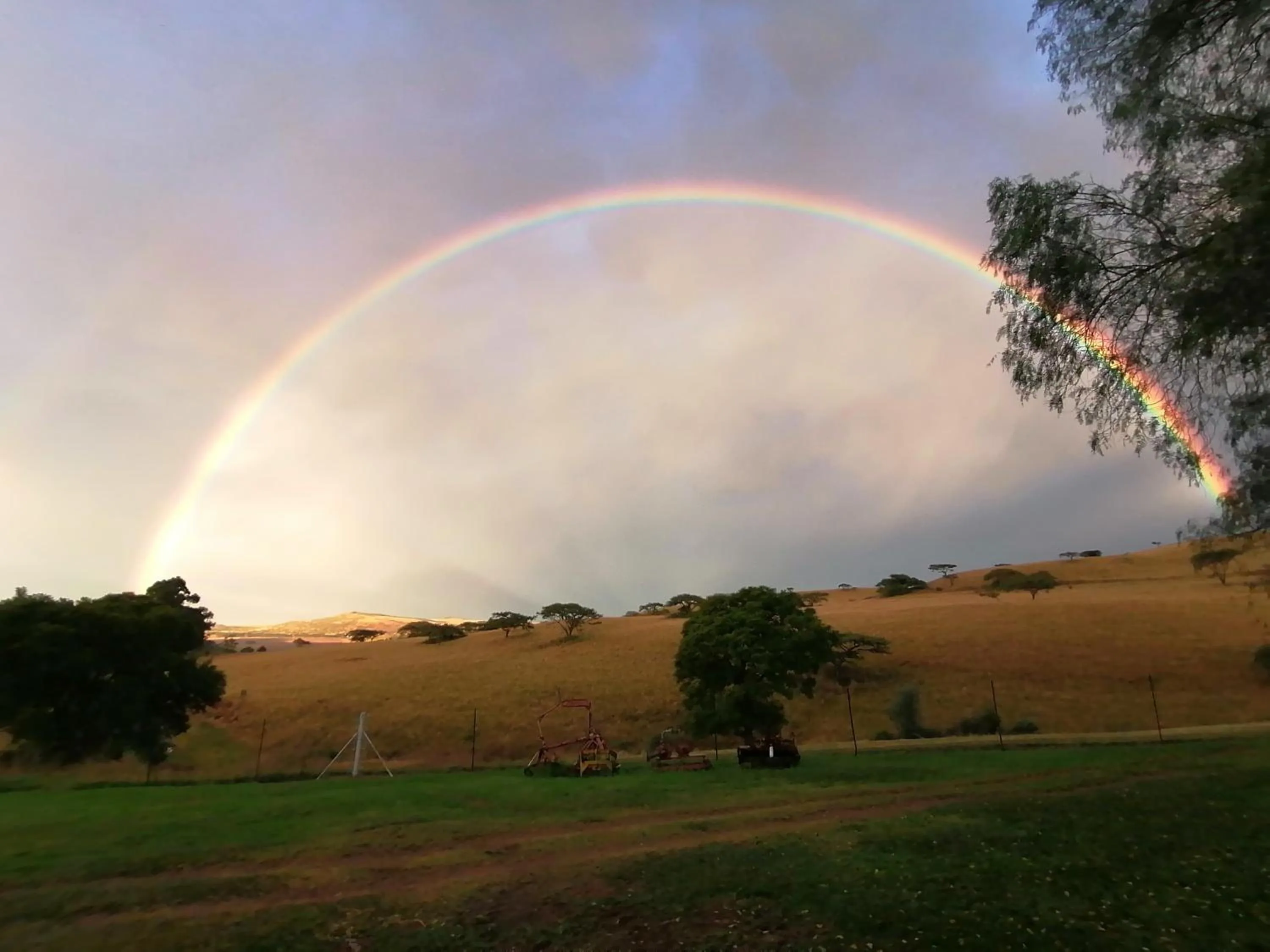 View (from property/room) in Bell Park Self Catering