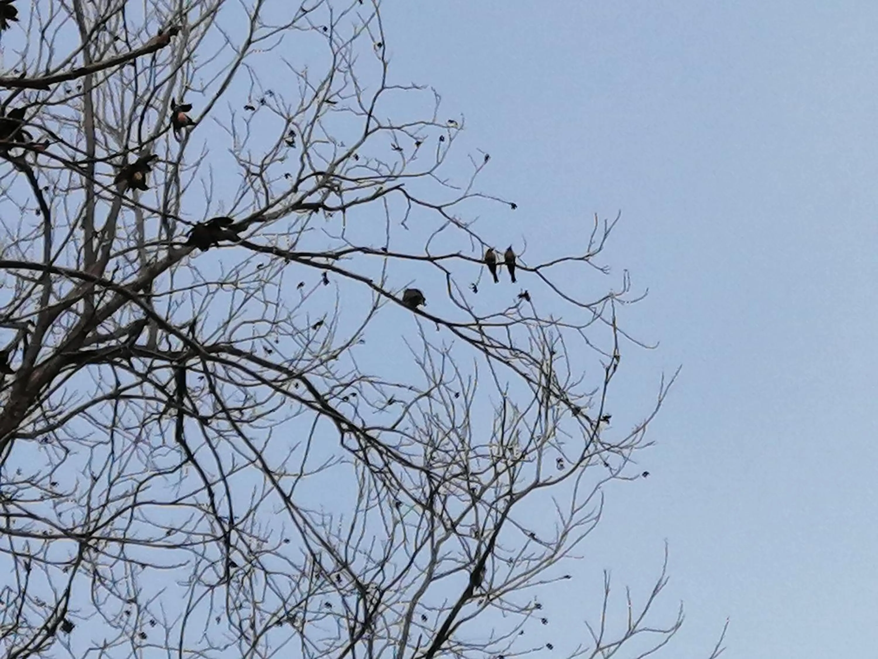 Garden in Bell Park Self Catering