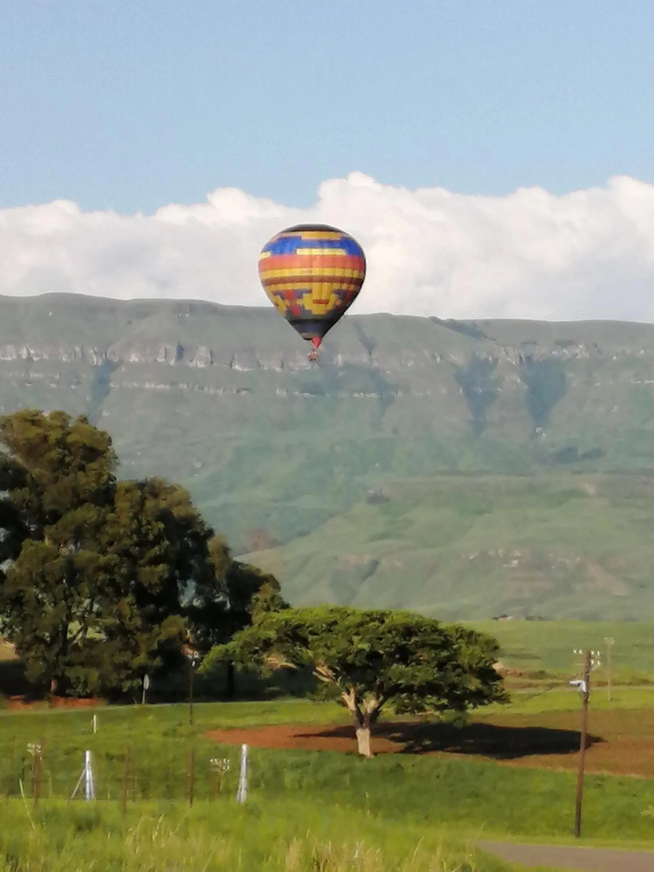 Activities in Bell Park Self Catering