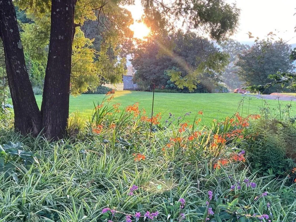 Garden in Bell Park Self Catering