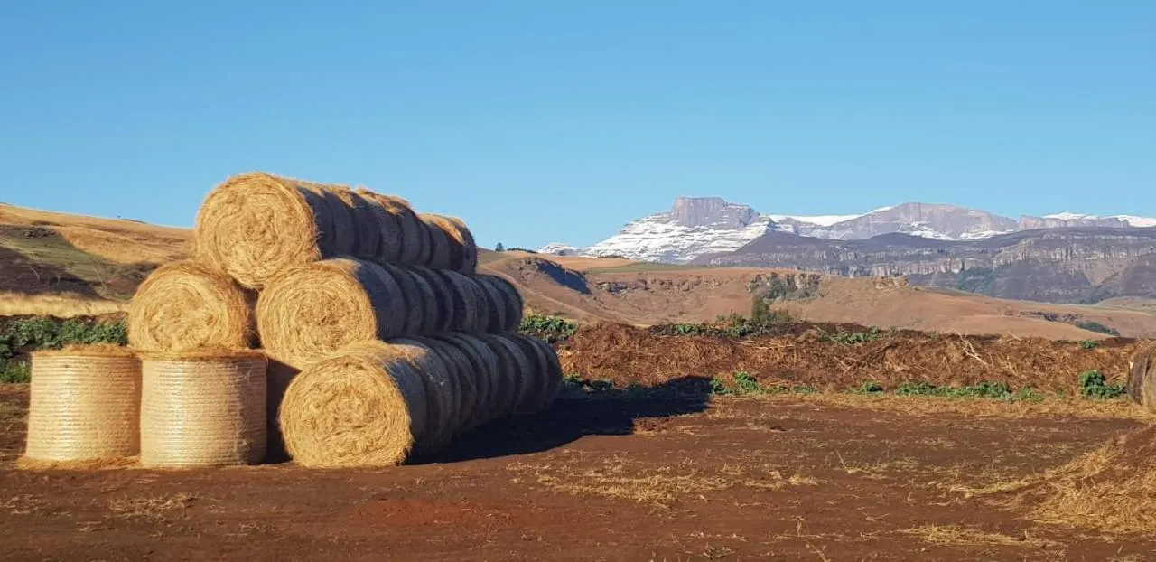 Natural landscape in Bell Park Self Catering
