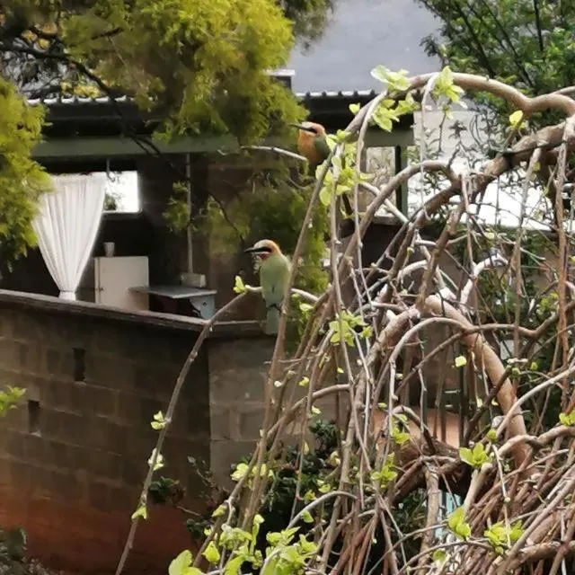 Animals in Bell Park Self Catering