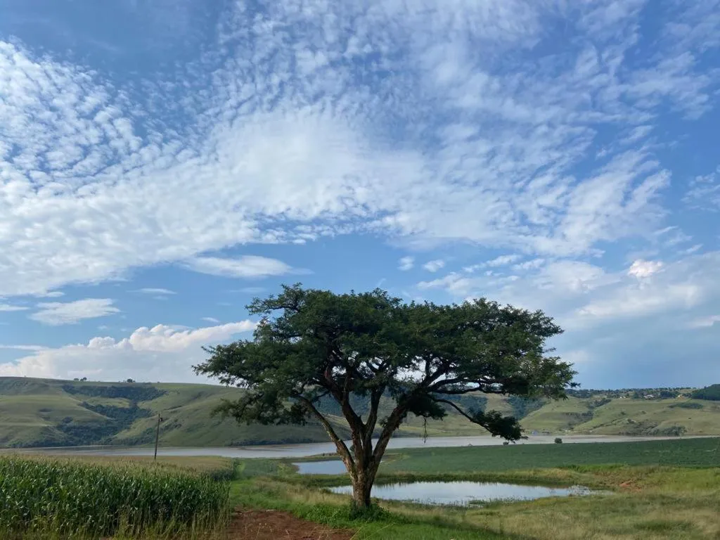 Landmark view in Bell Park Self Catering