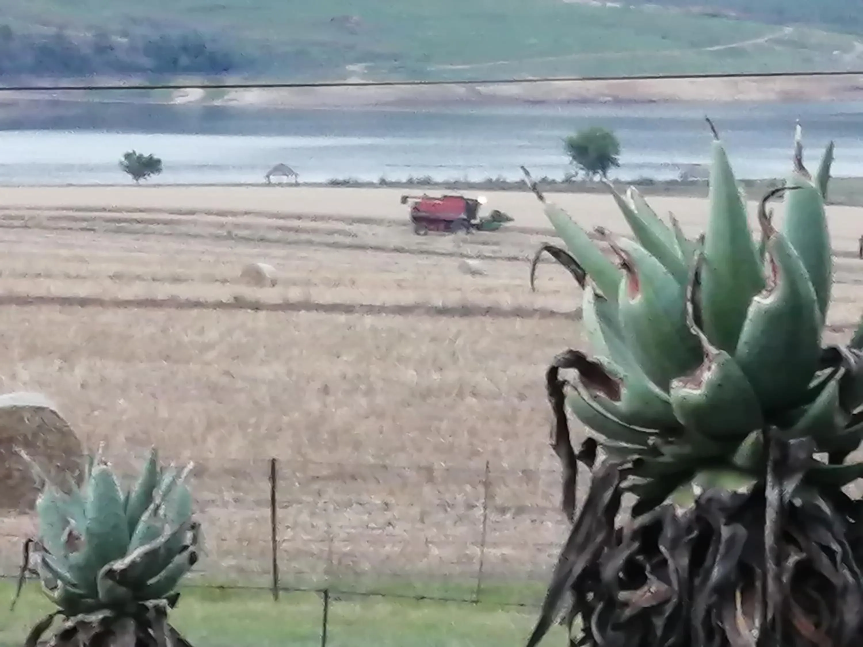 Natural landscape in Bell Park Self Catering