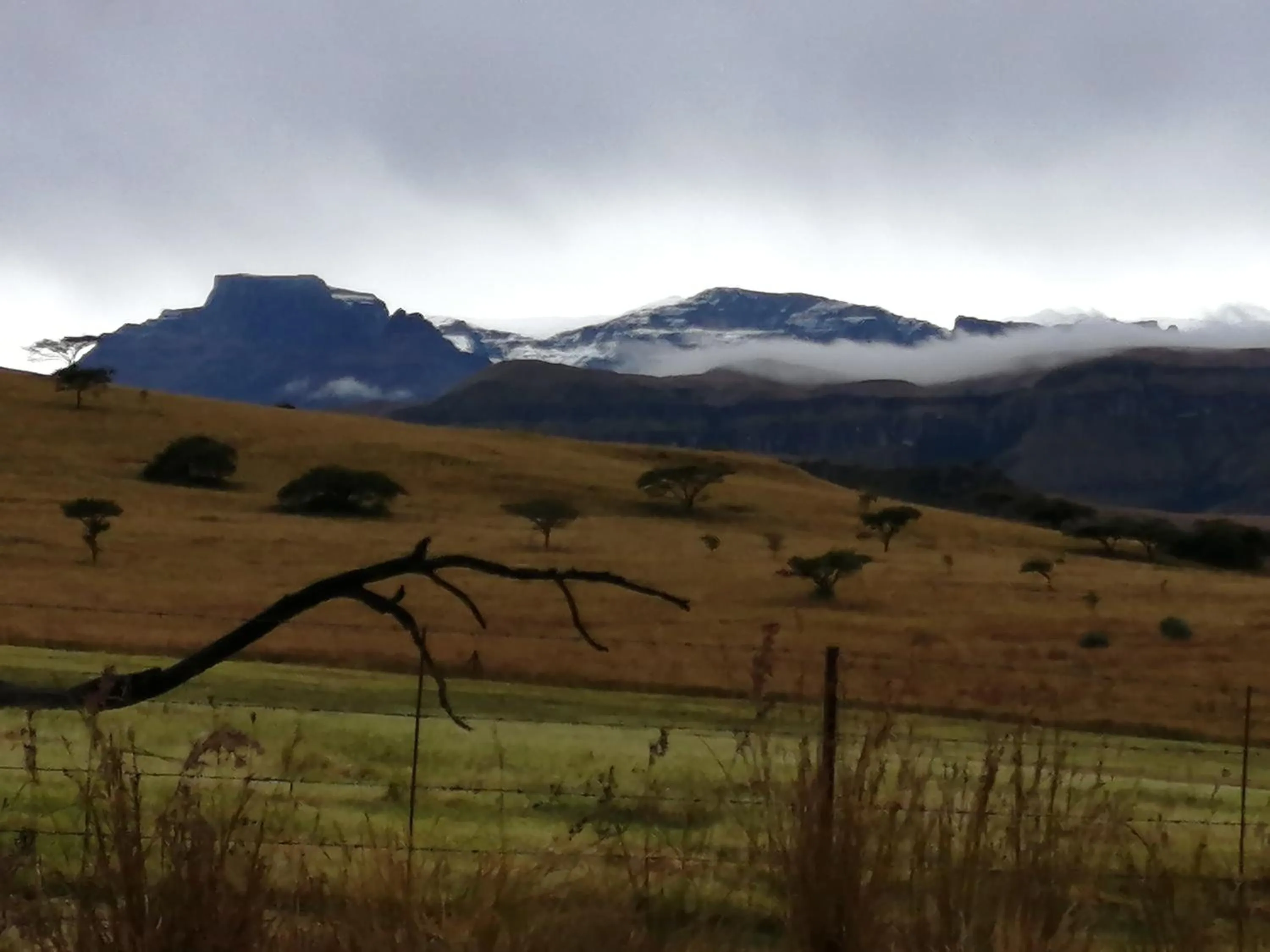 View (from property/room) in Bell Park Self Catering