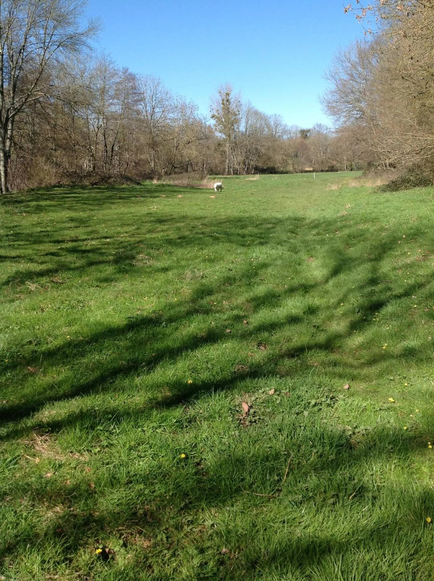 Natural landscape in Le Domaine