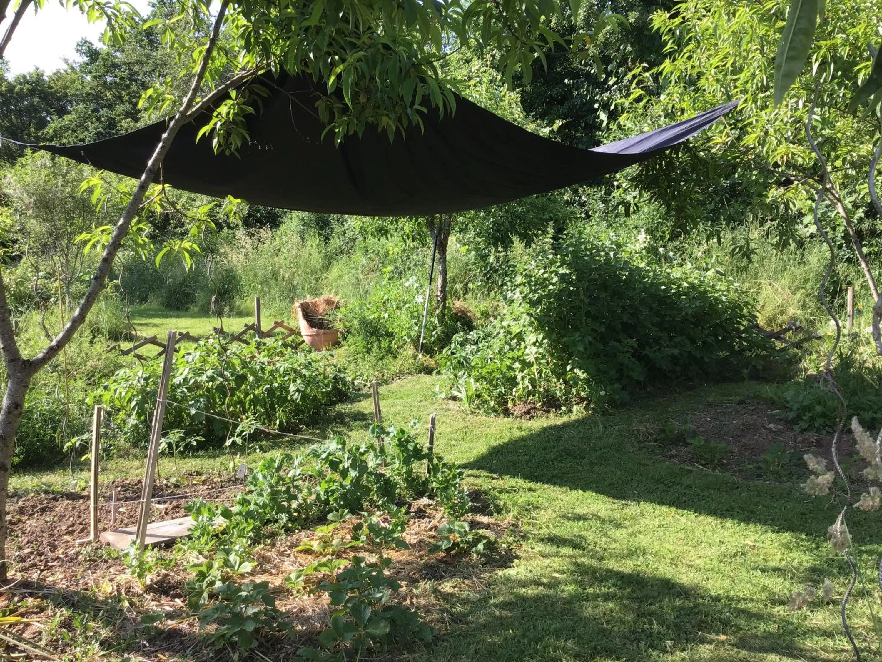 Garden in Le Domaine