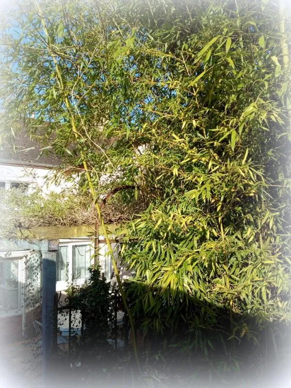 Property building in La Maison d'Hocquincourt