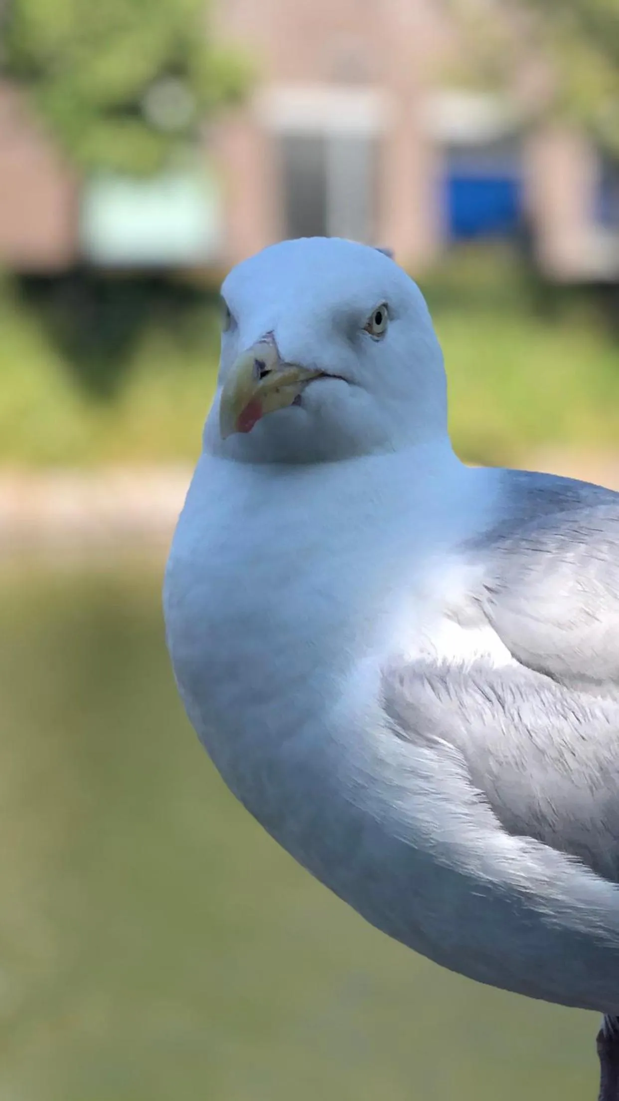 B&B Montancourt-Middelburg