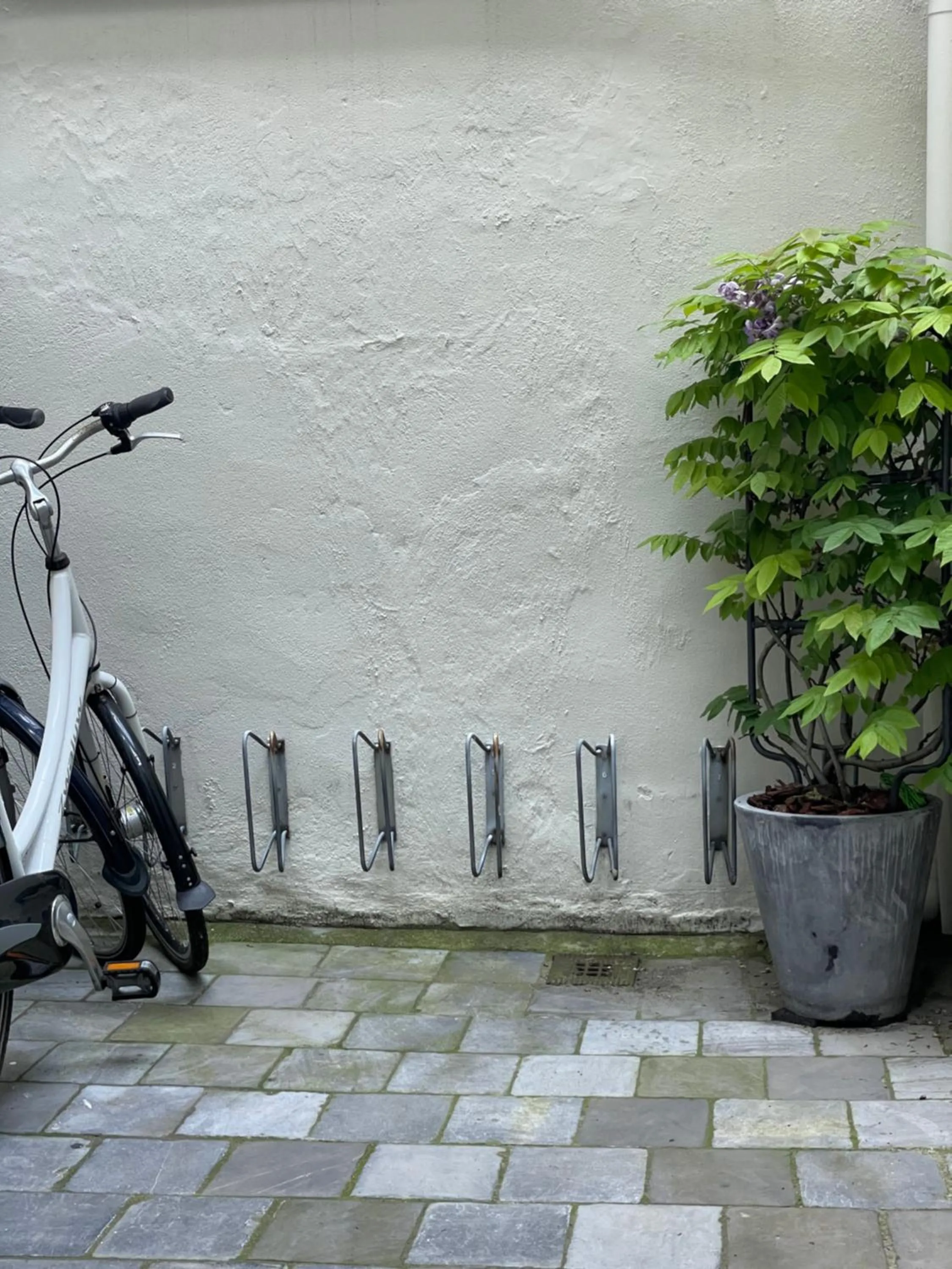 Patio in B&B Montancourt-Middelburg