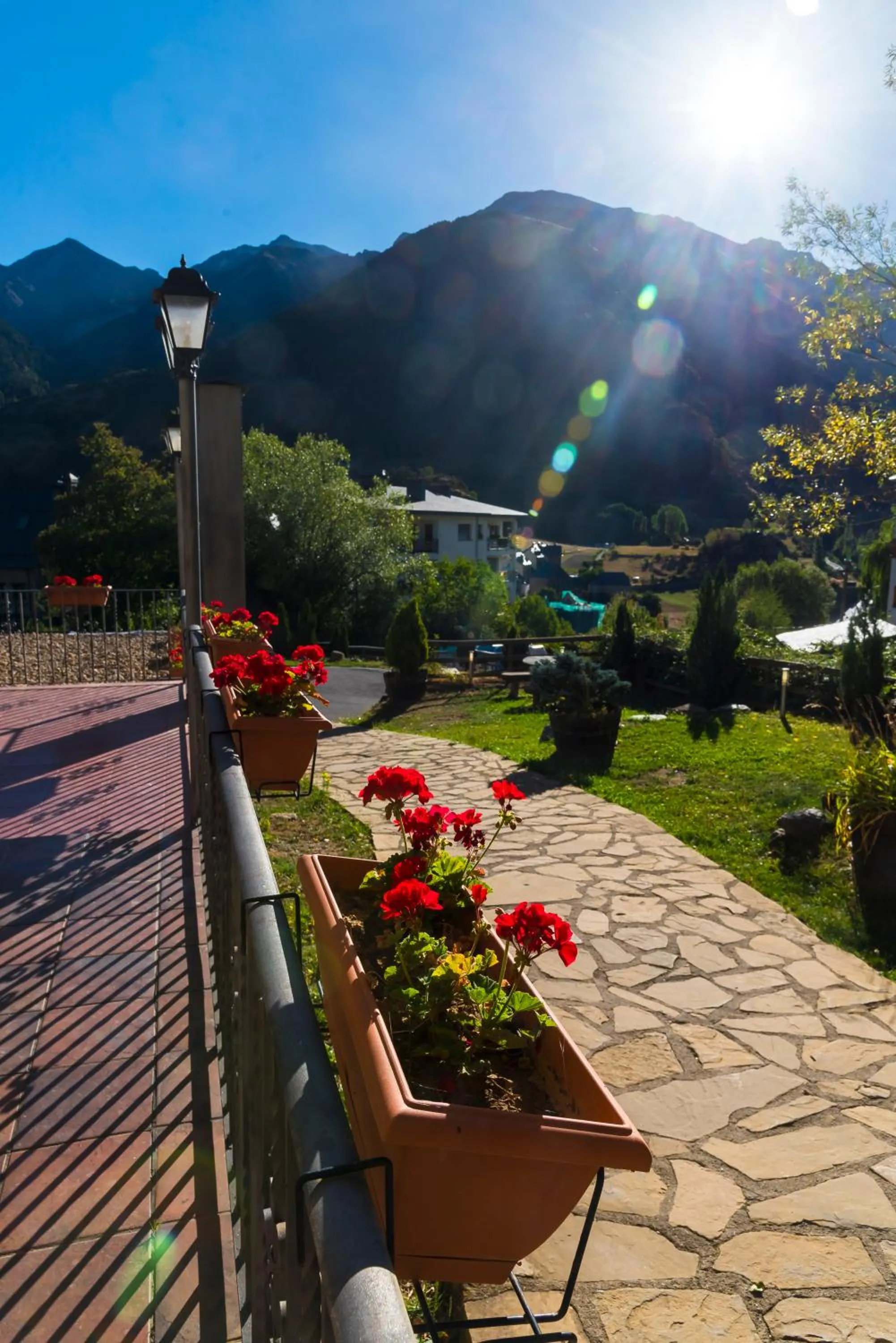 Garden in Aparthotel Sarrato