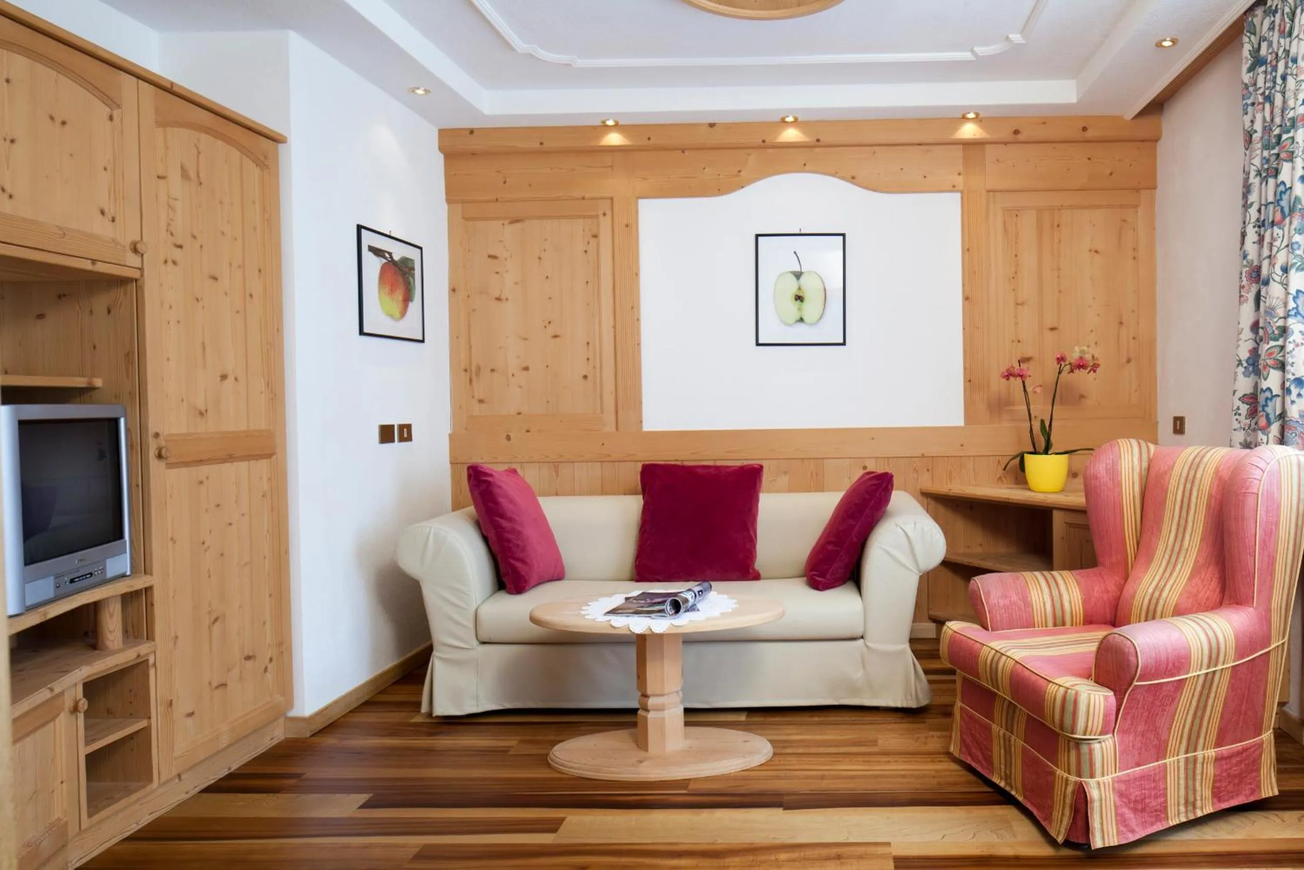 TV and multimedia in Ciasa Roby