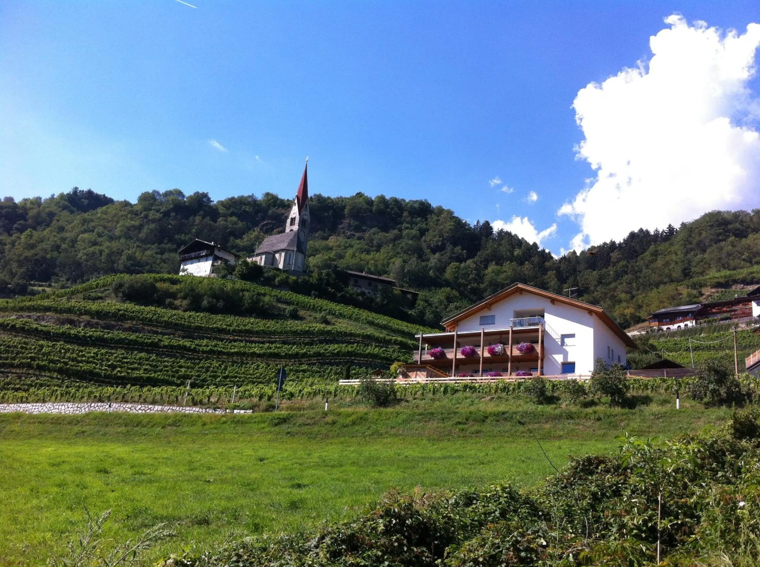 Area and facilities in Appartements Toni