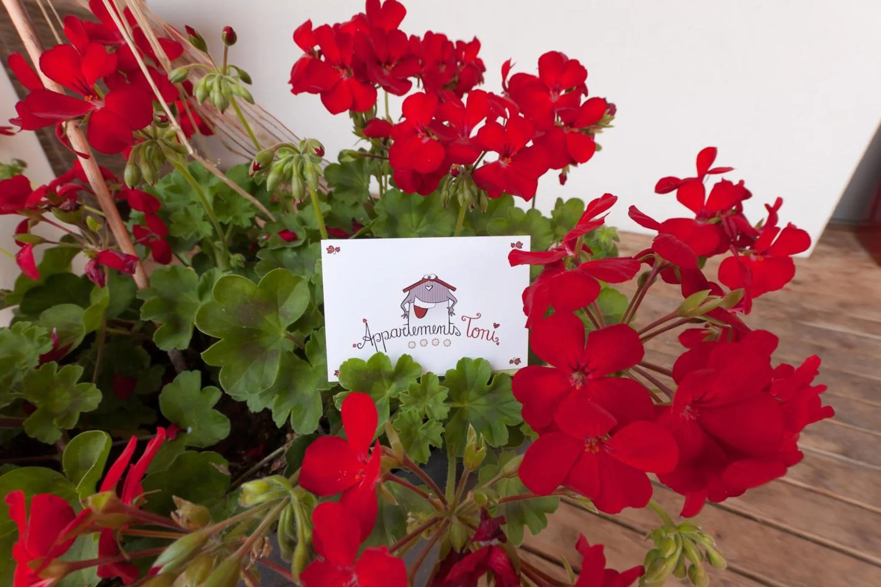 Property logo or sign in Appartements Toni