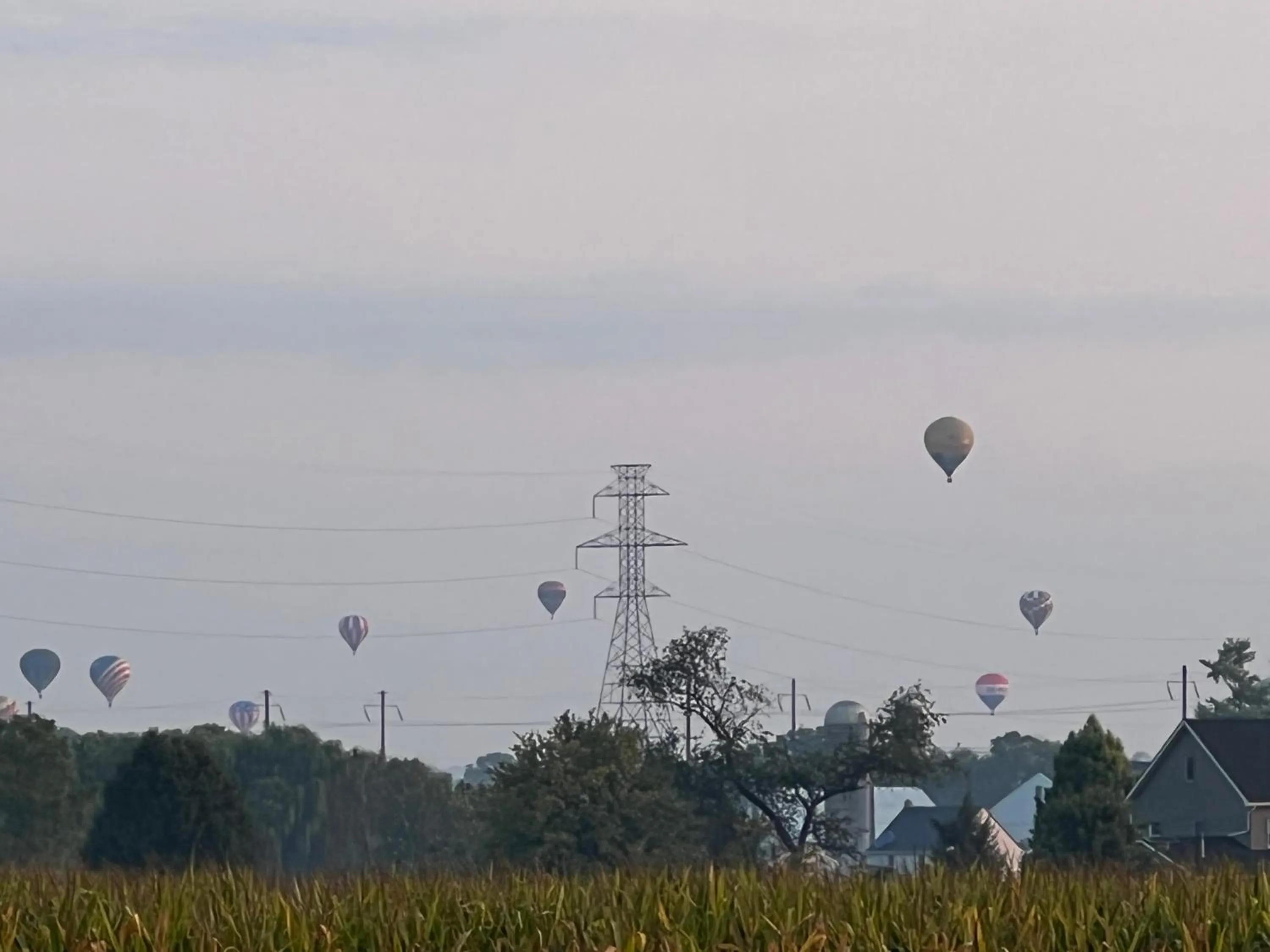 Natural landscape in Scottish Inns Ronks
