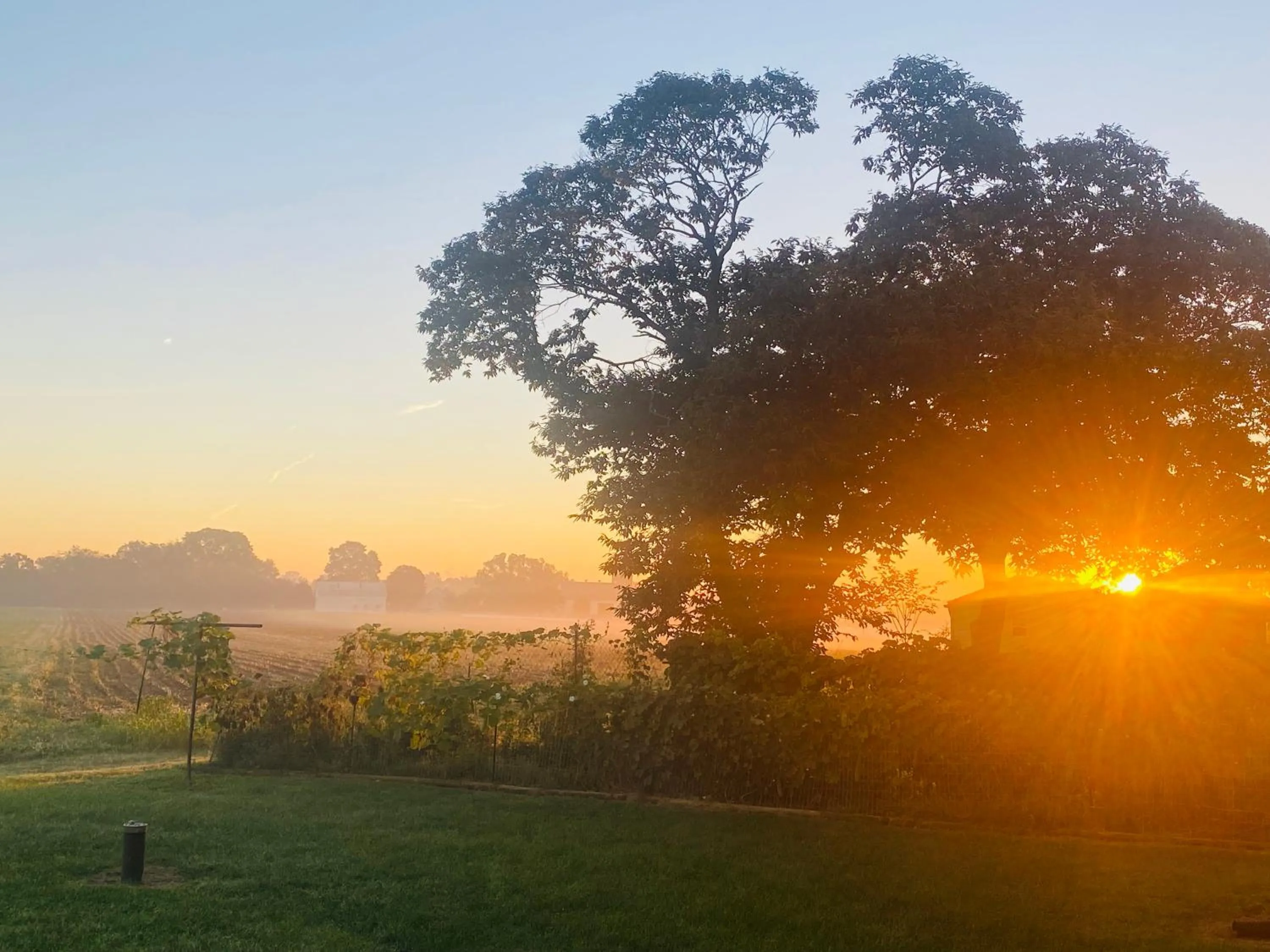 Natural landscape in Scottish Inns Ronks