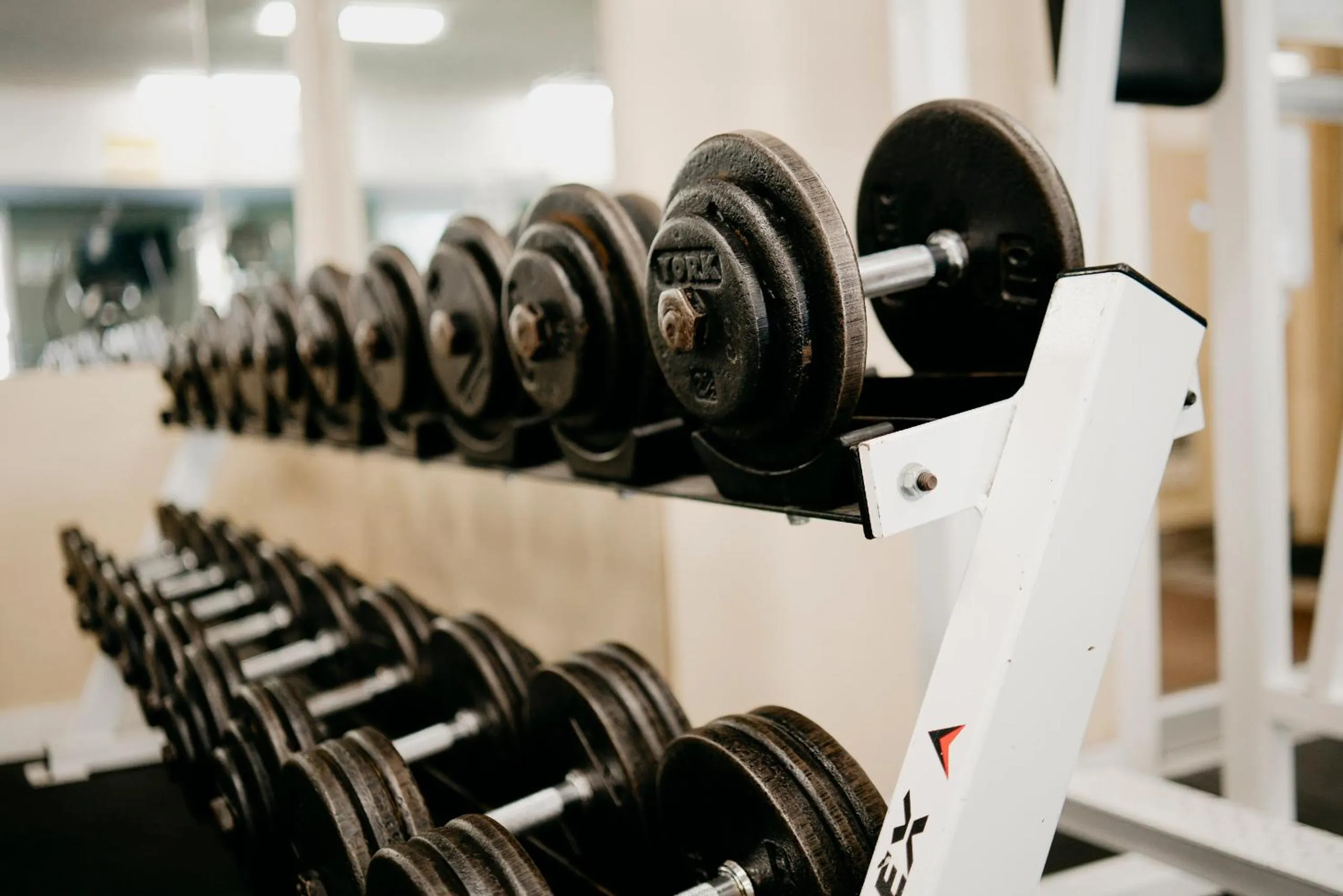 Fitness centre/facilities in Ramada Golden