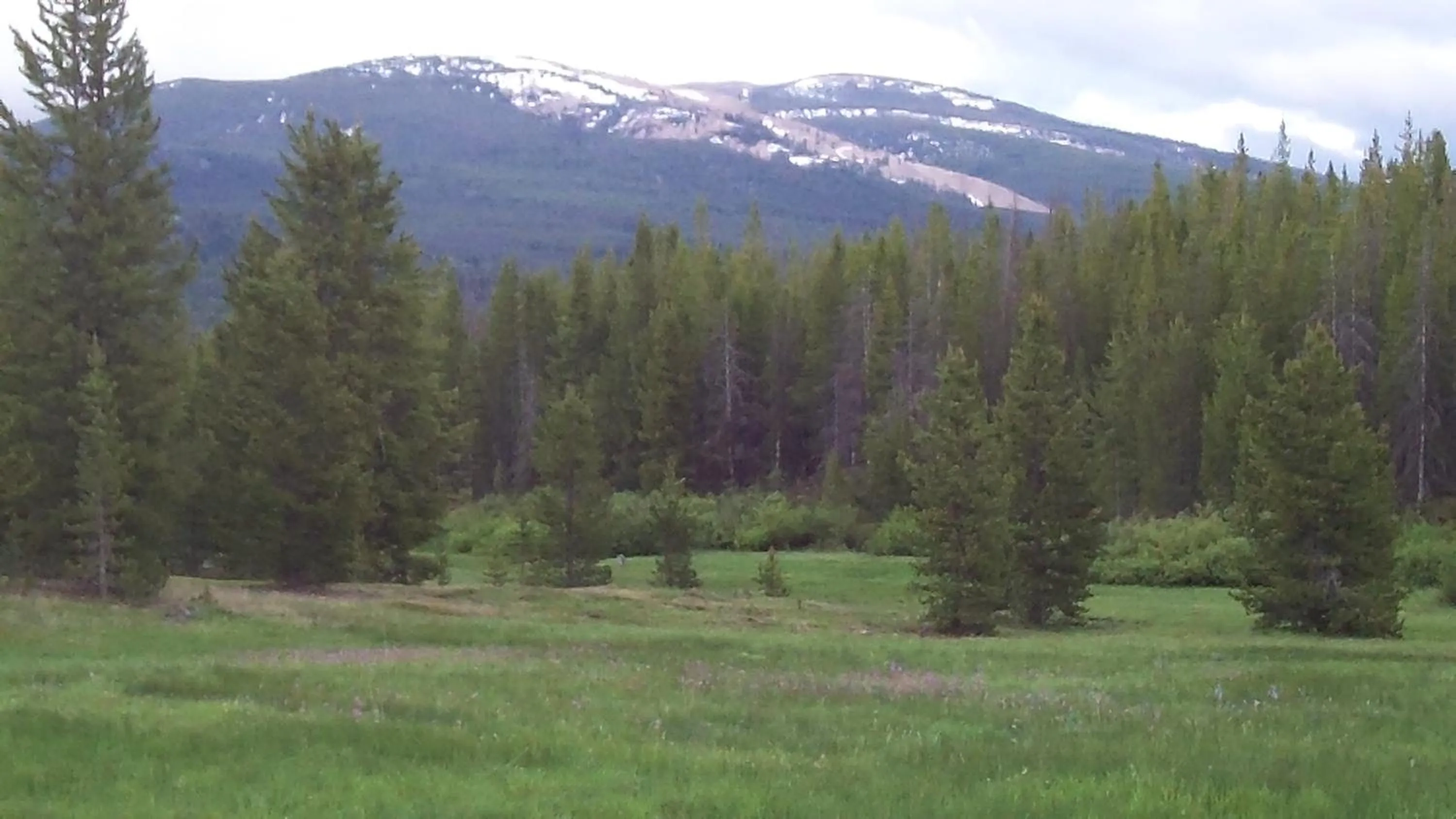 Natural landscape in Sugar Loaf Lodge & Cabins
