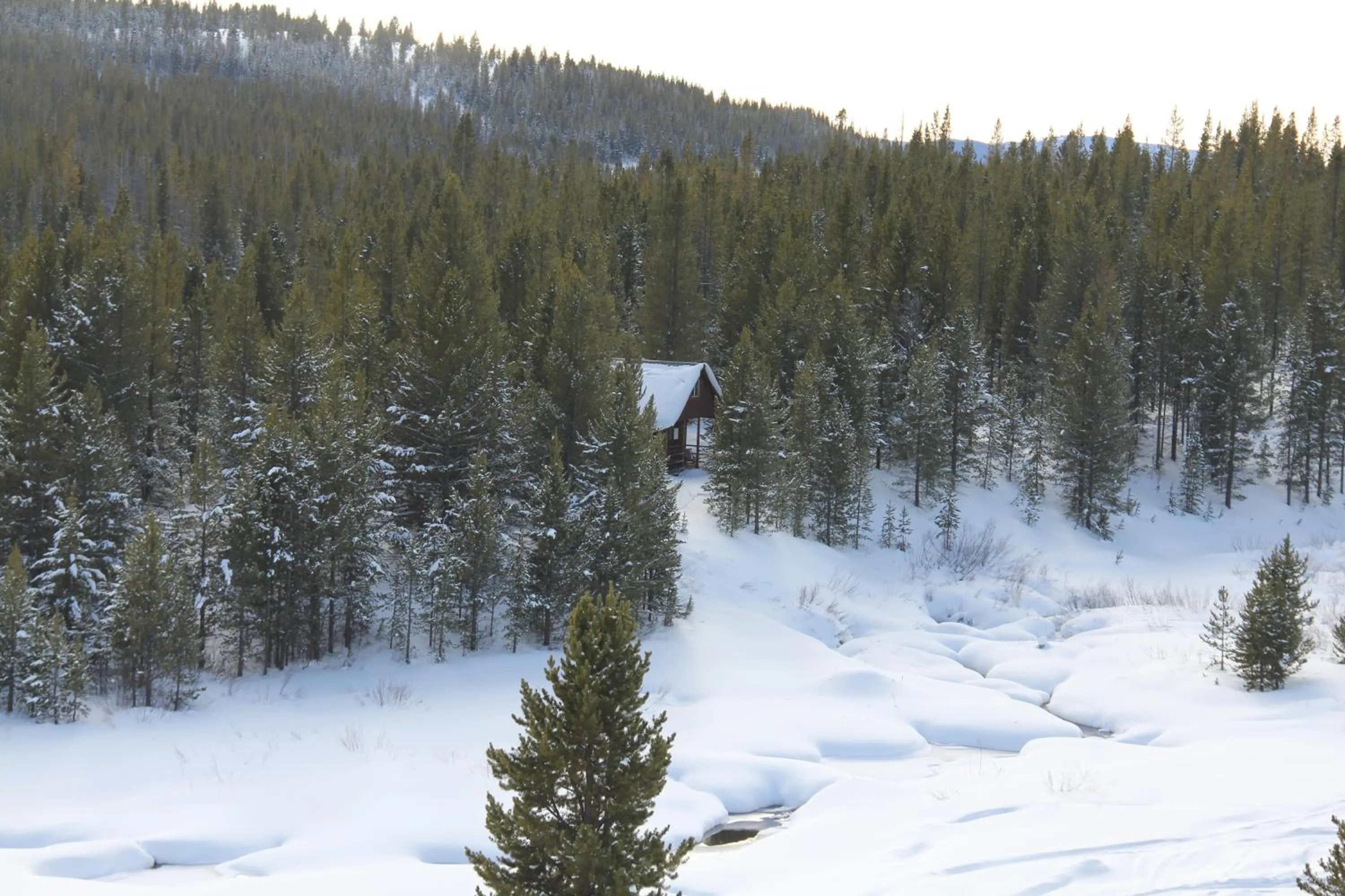 Bird's eye view in Sugar Loaf Lodge & Cabins