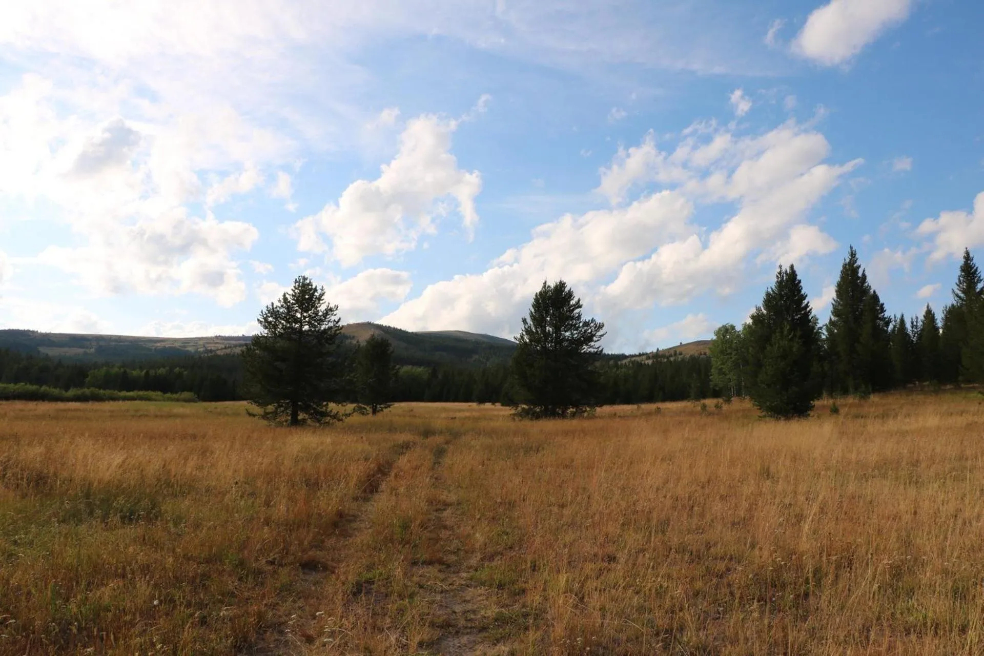 Natural landscape in Sugar Loaf Lodge & Cabins
