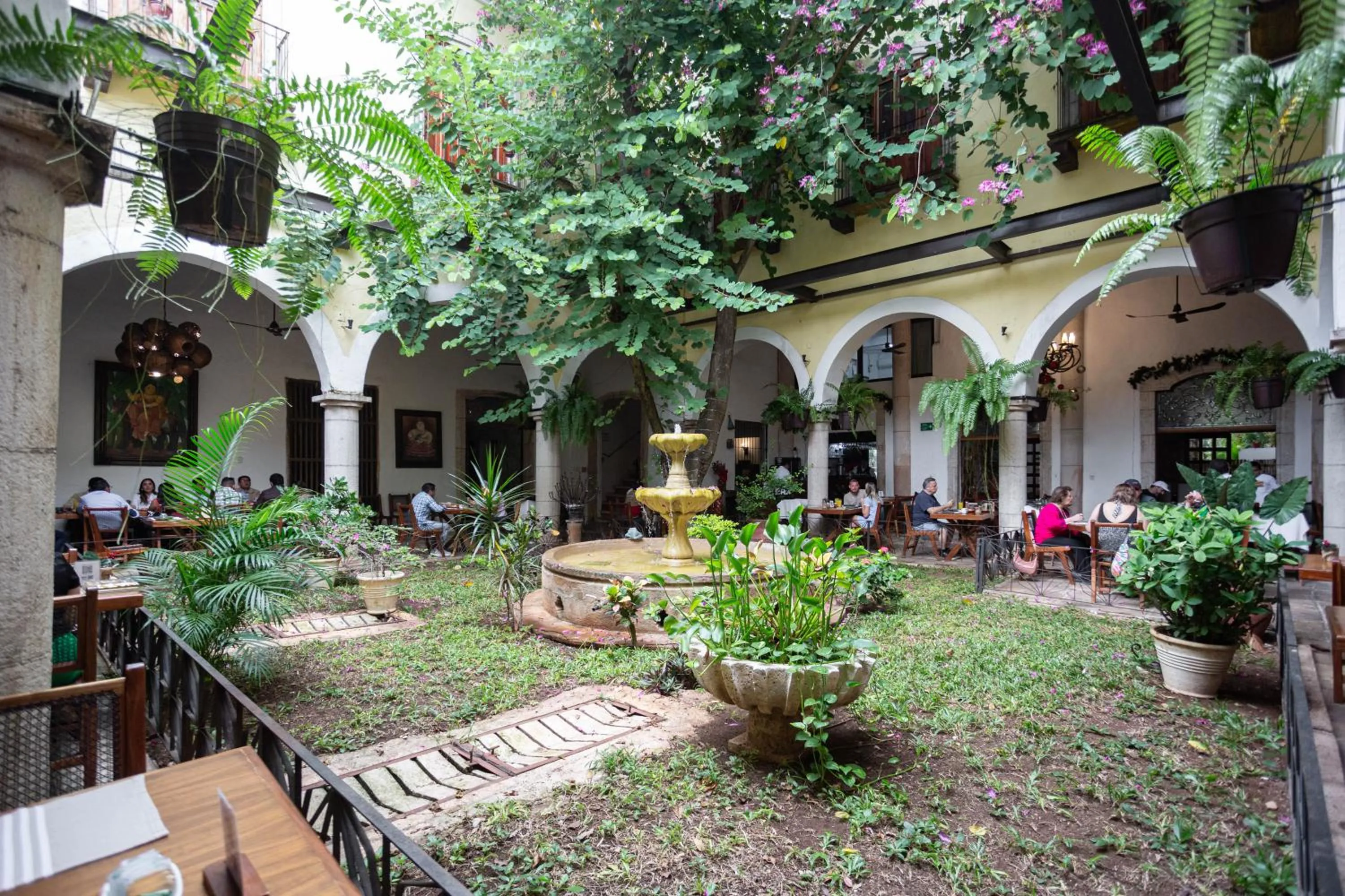 Restaurant/places to eat in Hotel Meson del Marques